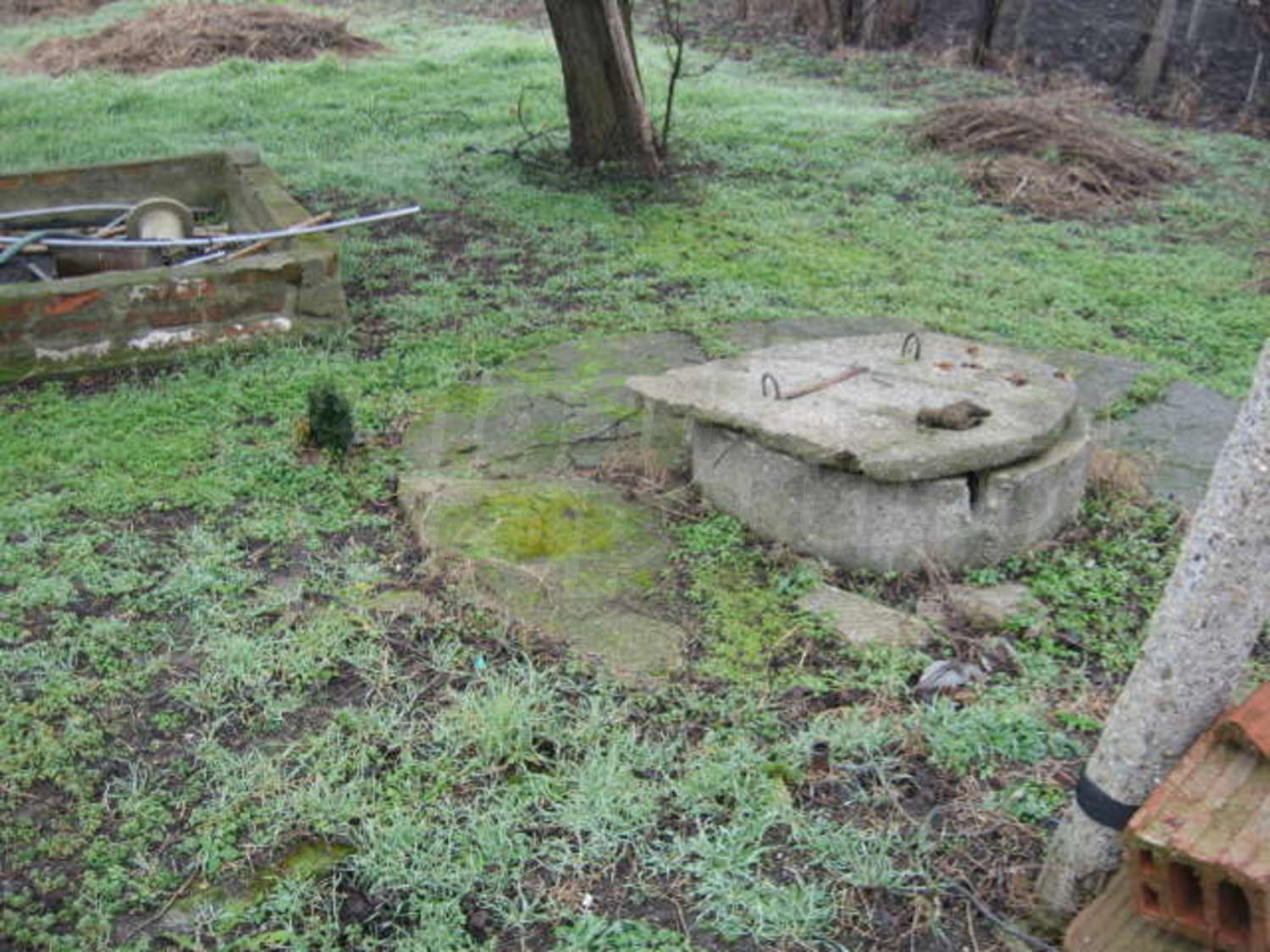 Gallery Picture 25