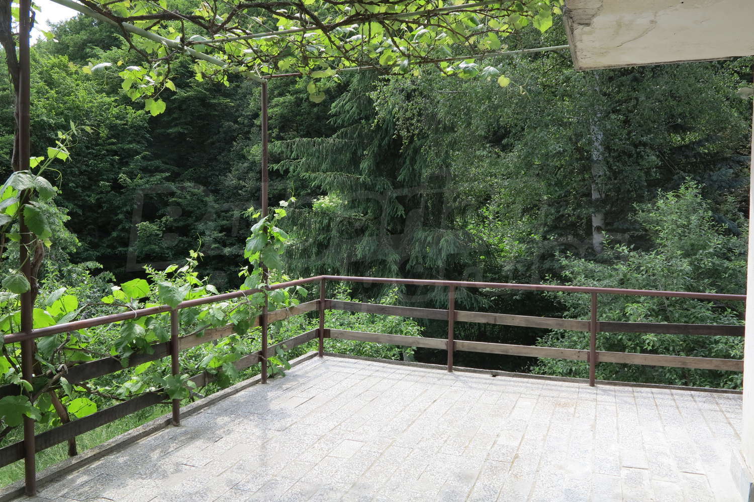 Gallery Picture 11