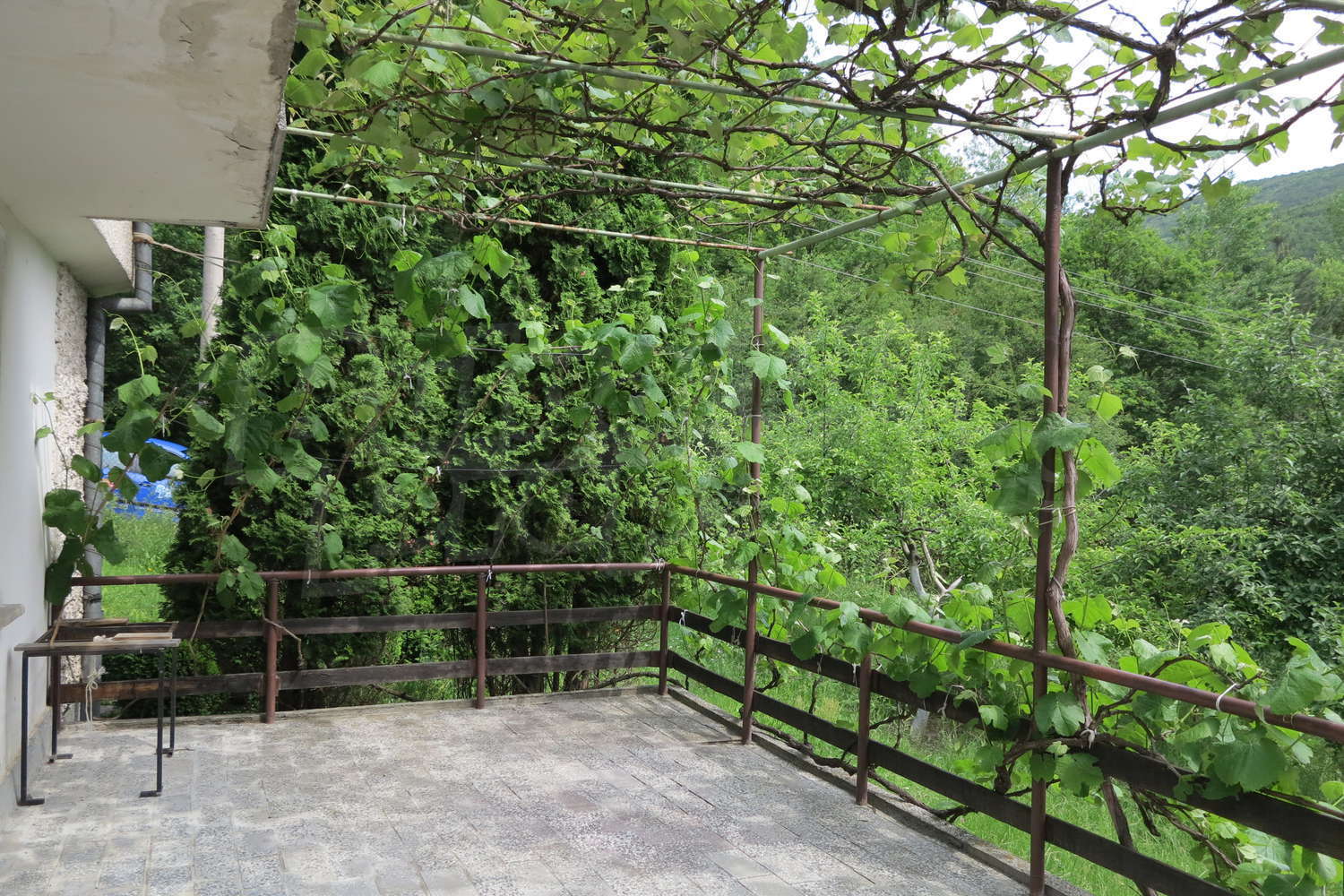 Gallery Picture 13
