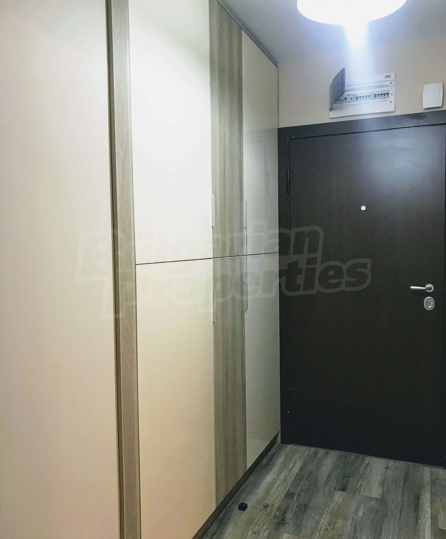 Gallery Picture 17