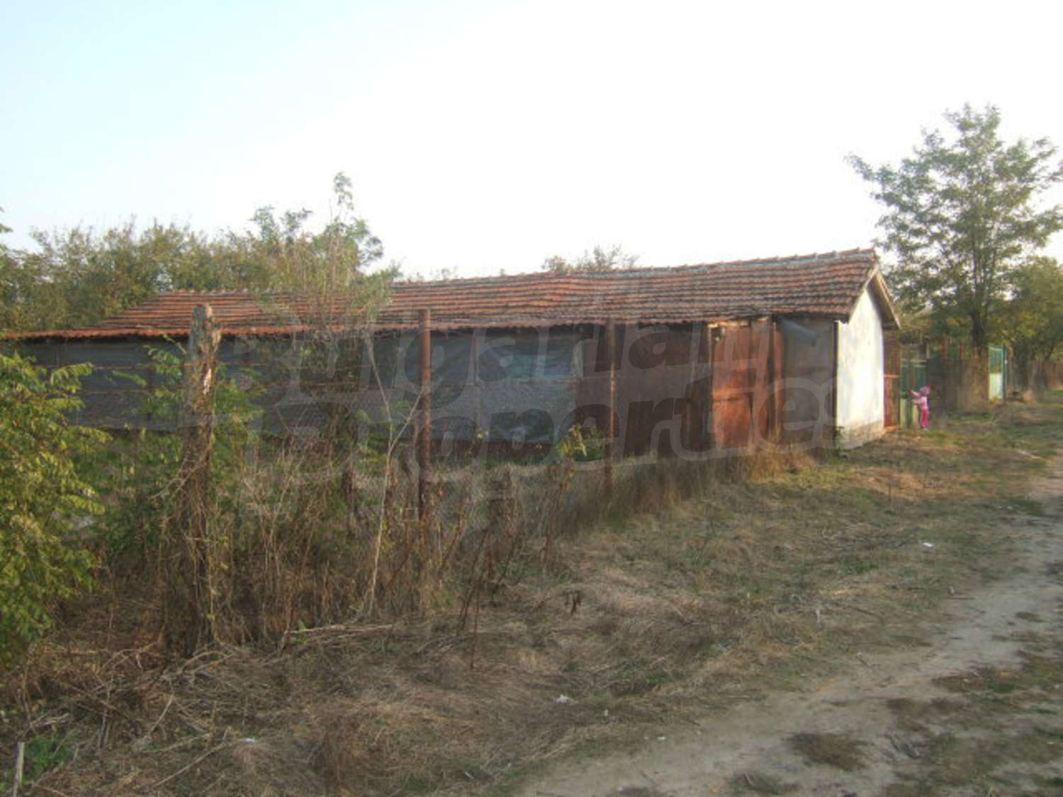 Gallery Picture 14
