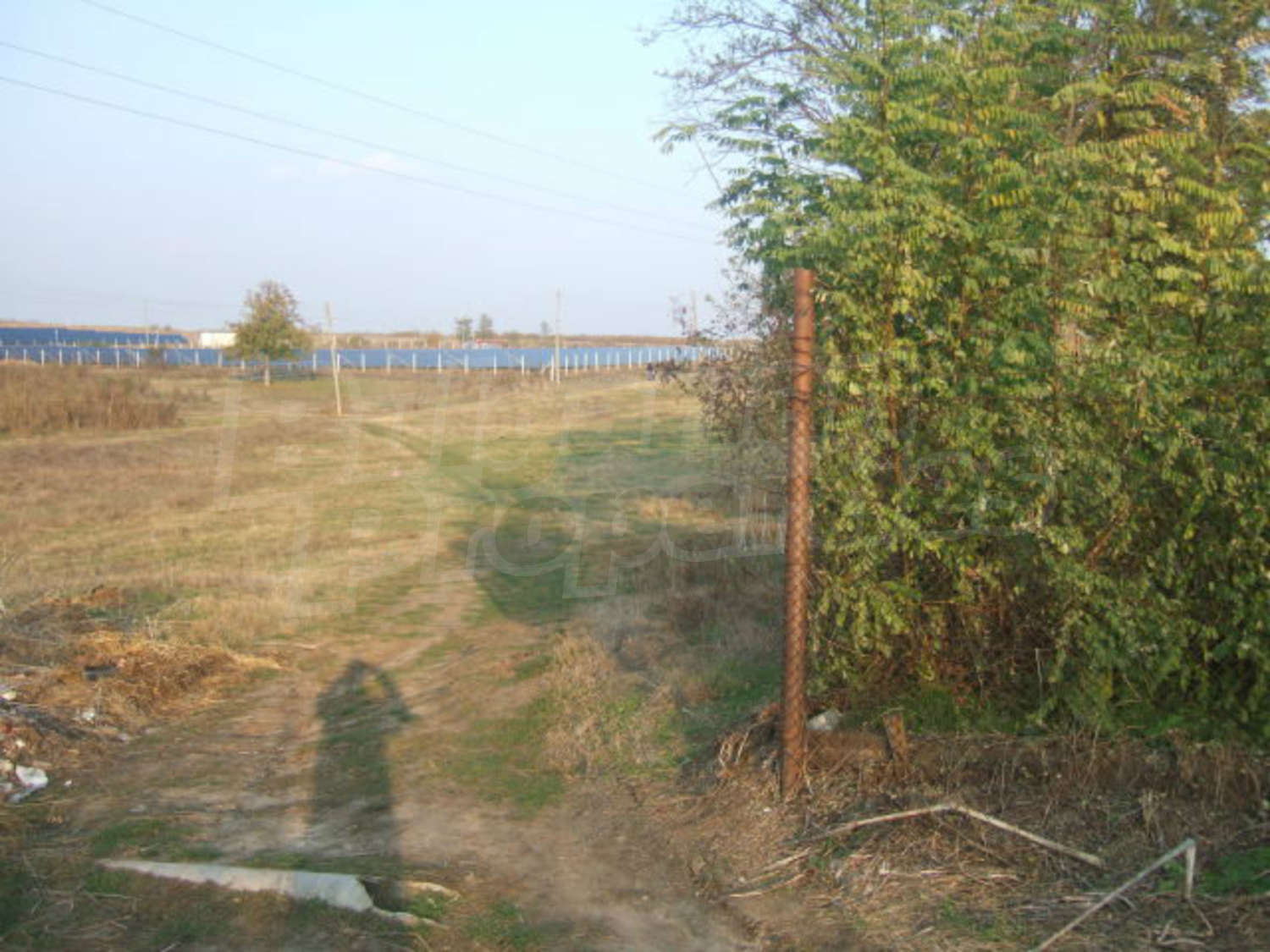 Gallery Picture 15