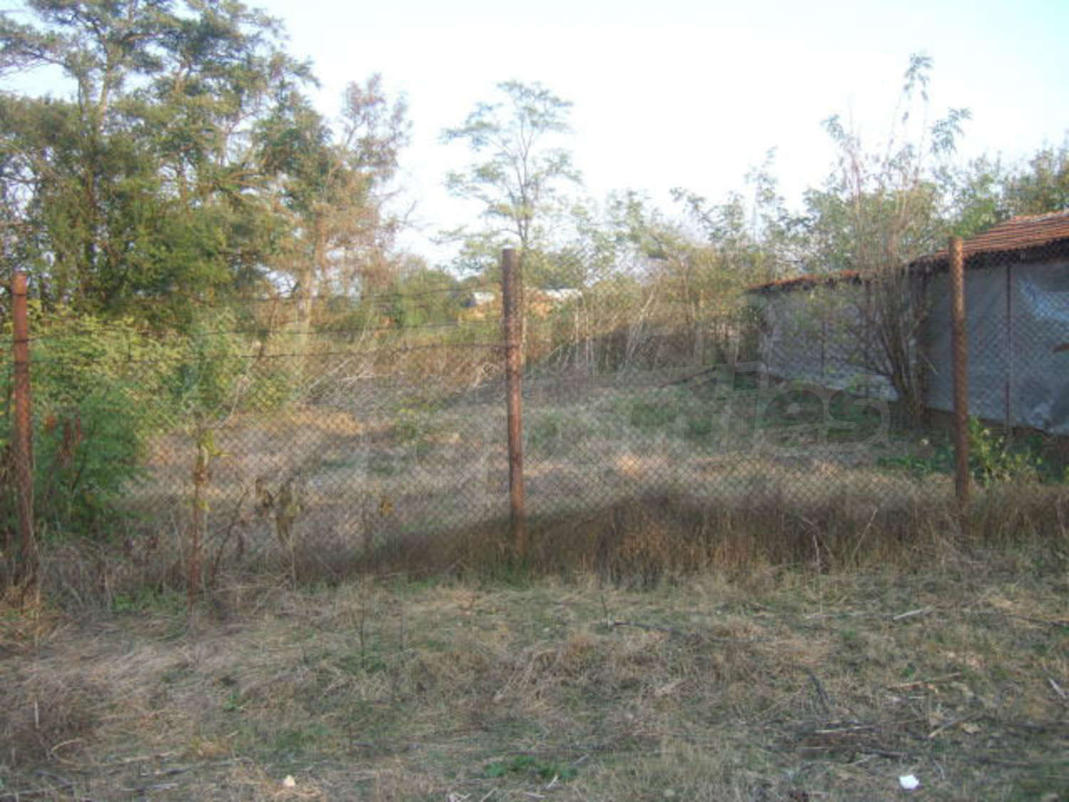 Gallery Picture 16