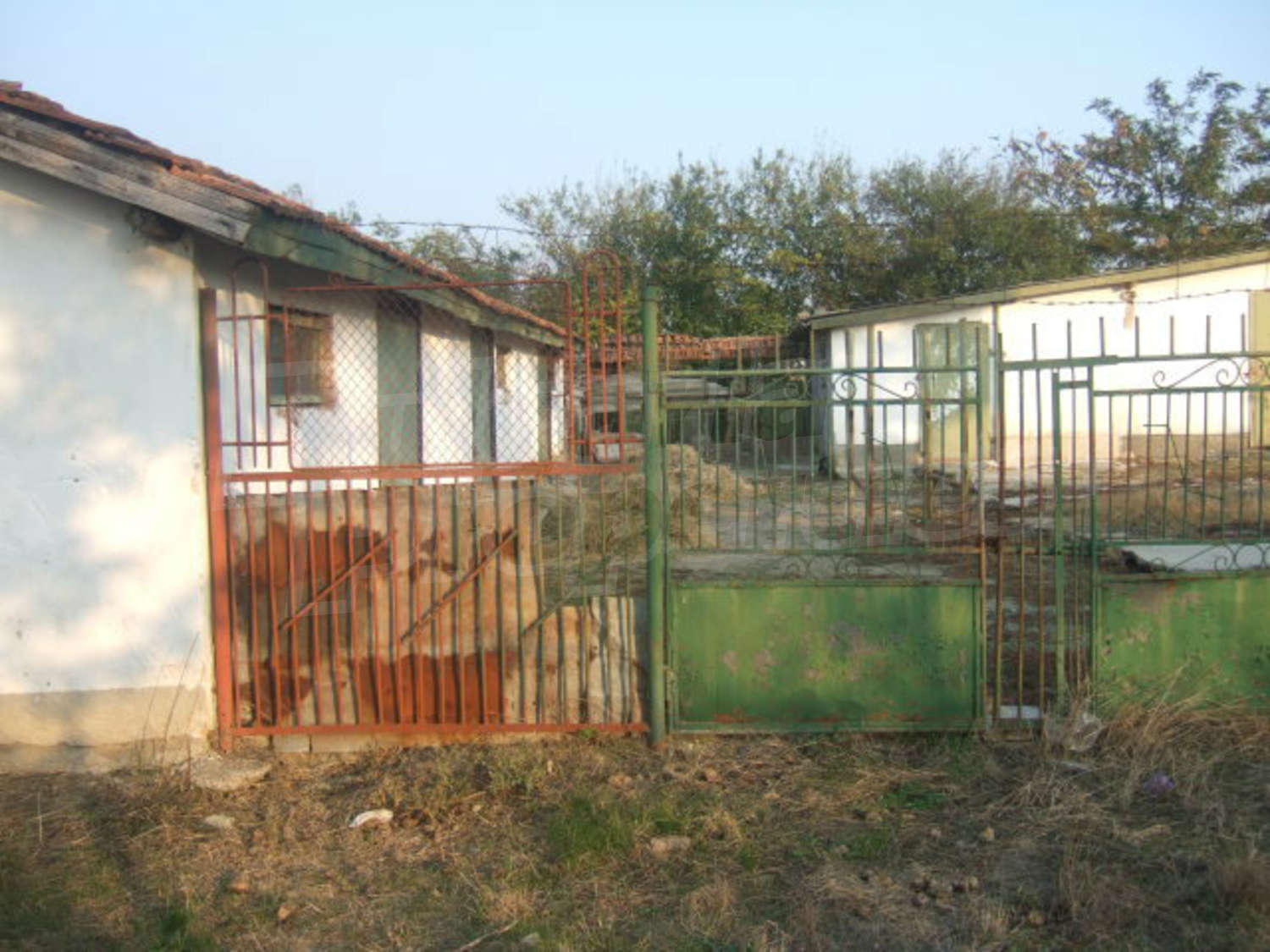 Gallery Picture 18