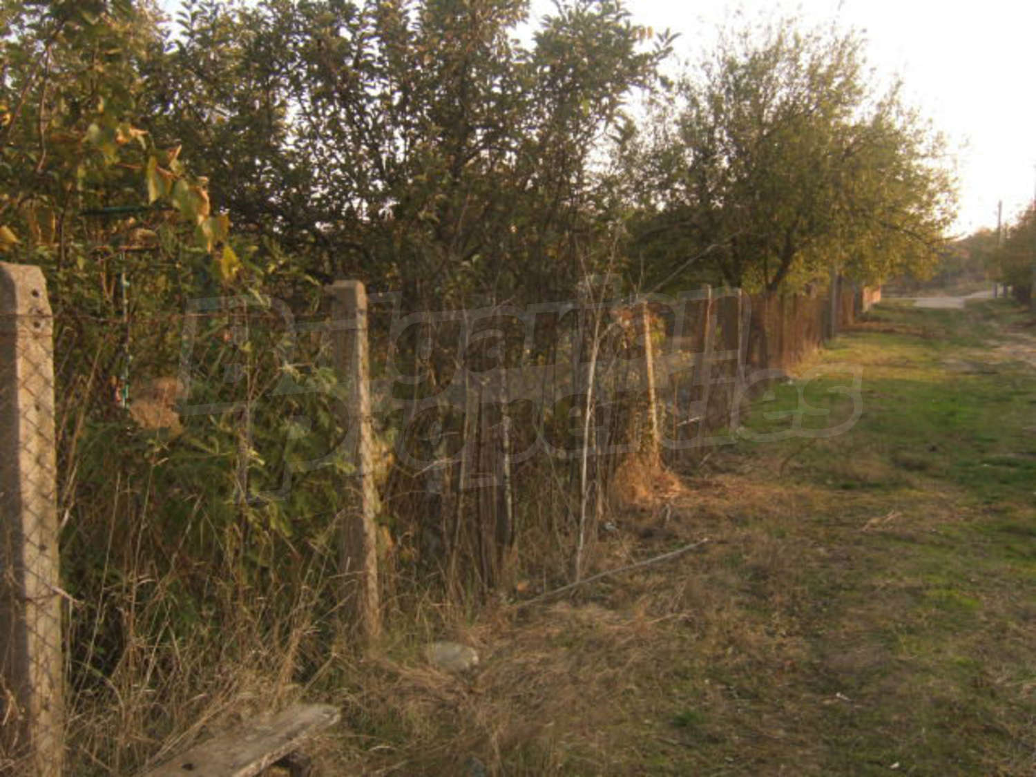Gallery Picture 22