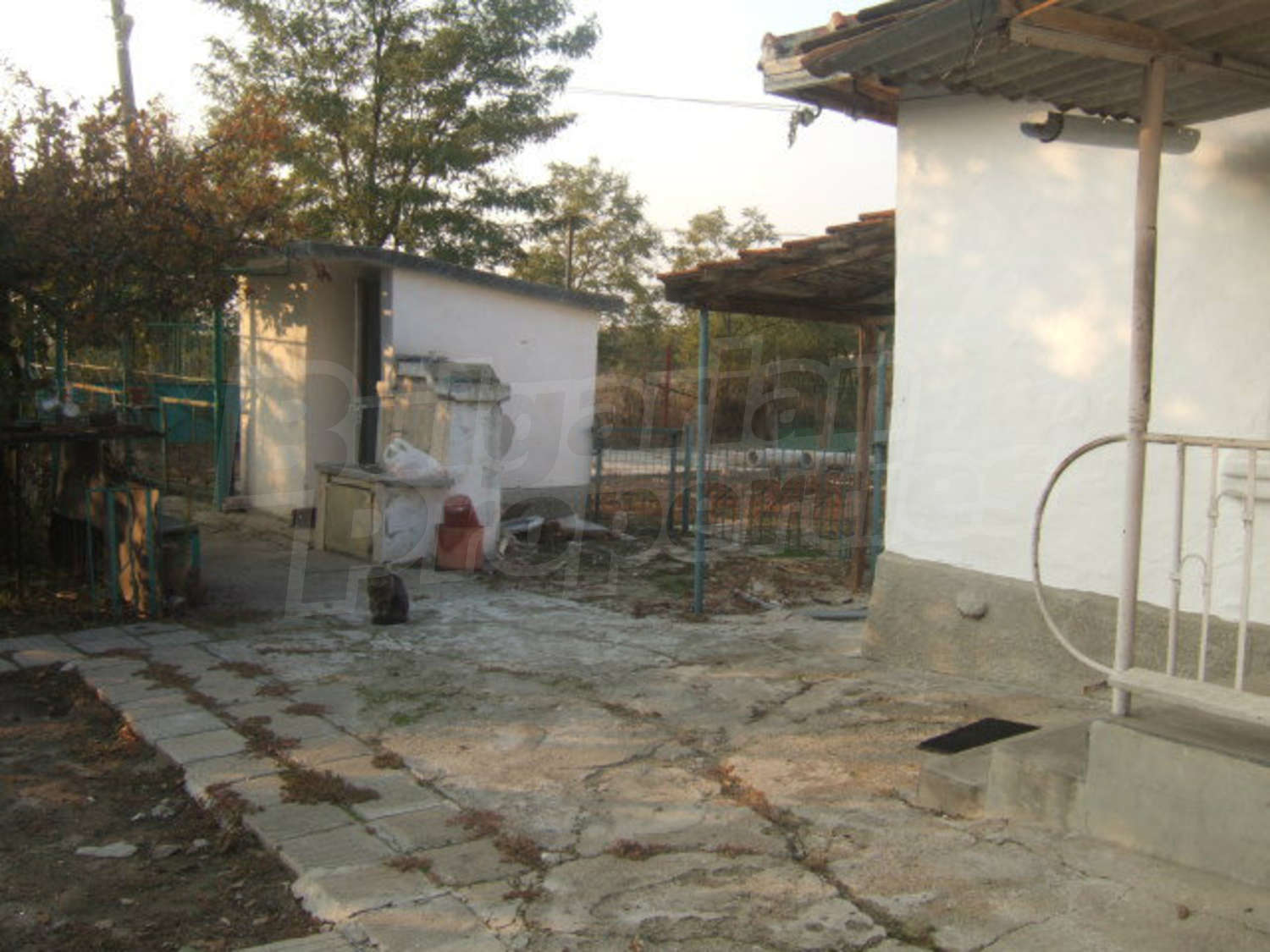 Gallery Picture 28