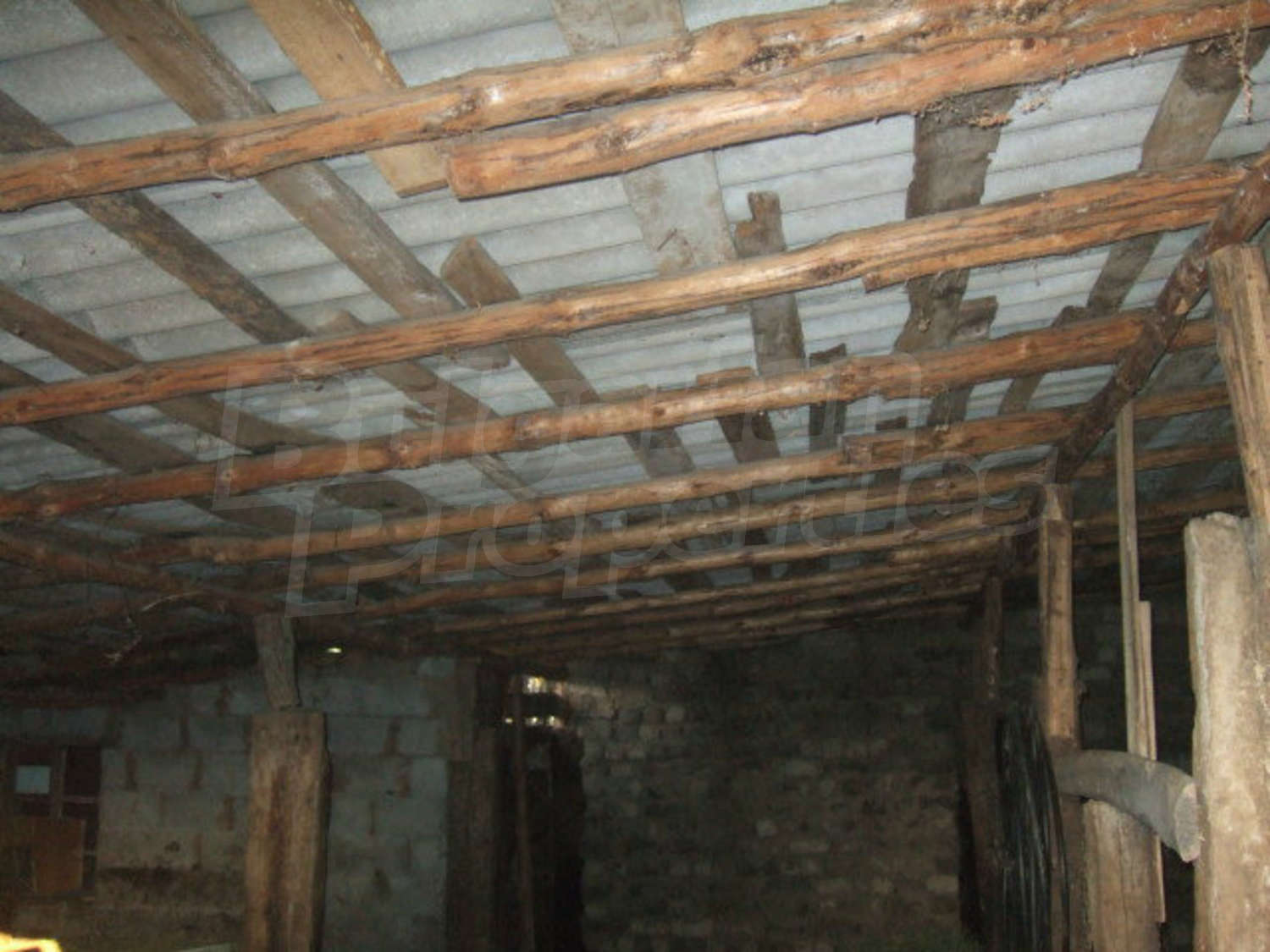 Gallery Picture 32