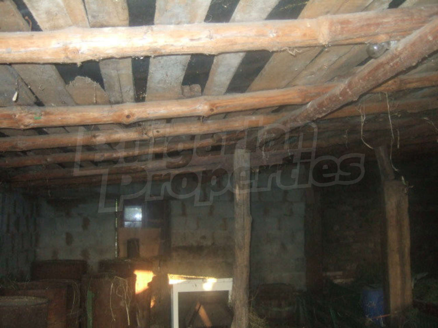 Gallery Picture 33