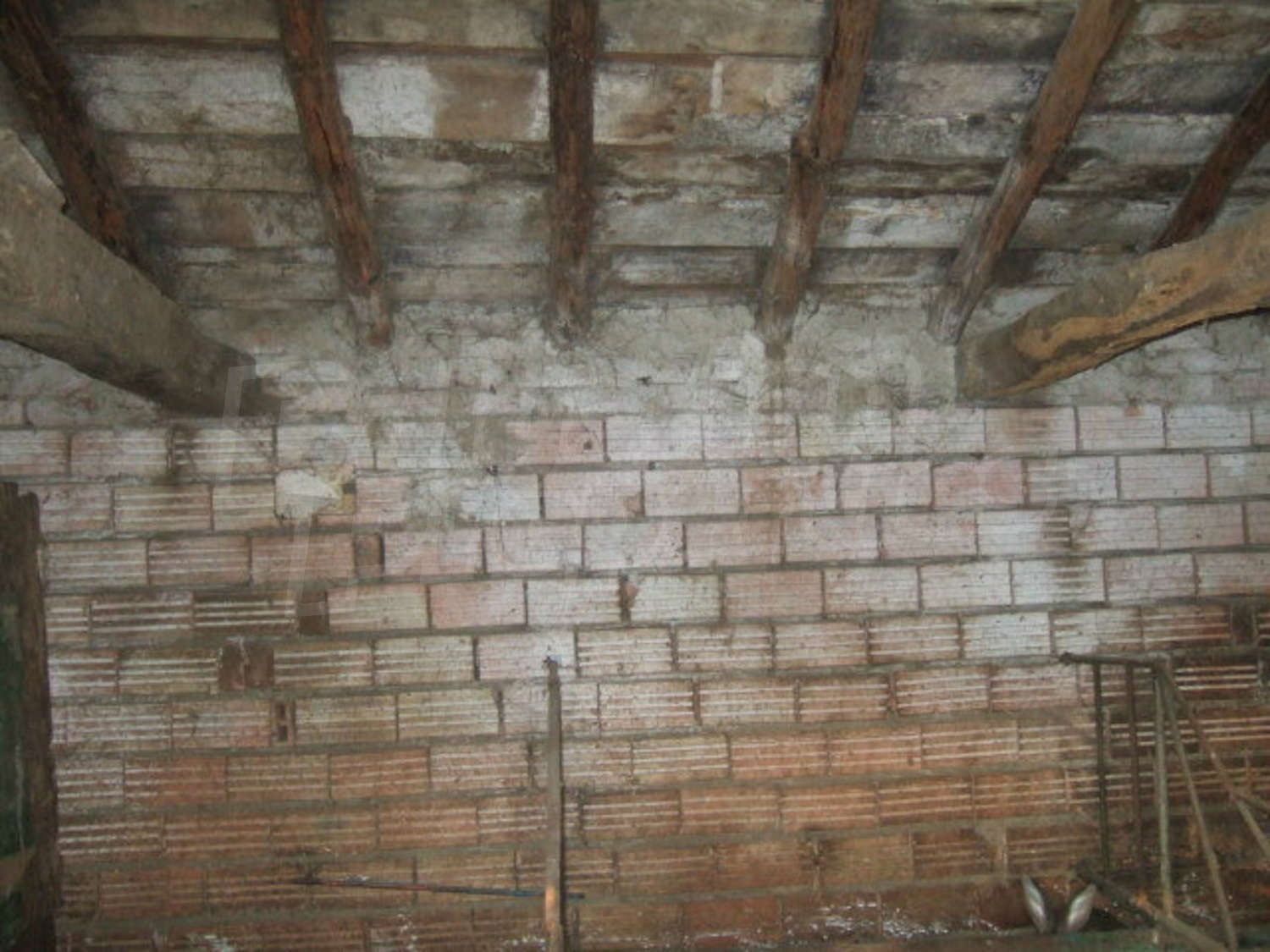Gallery Picture 34