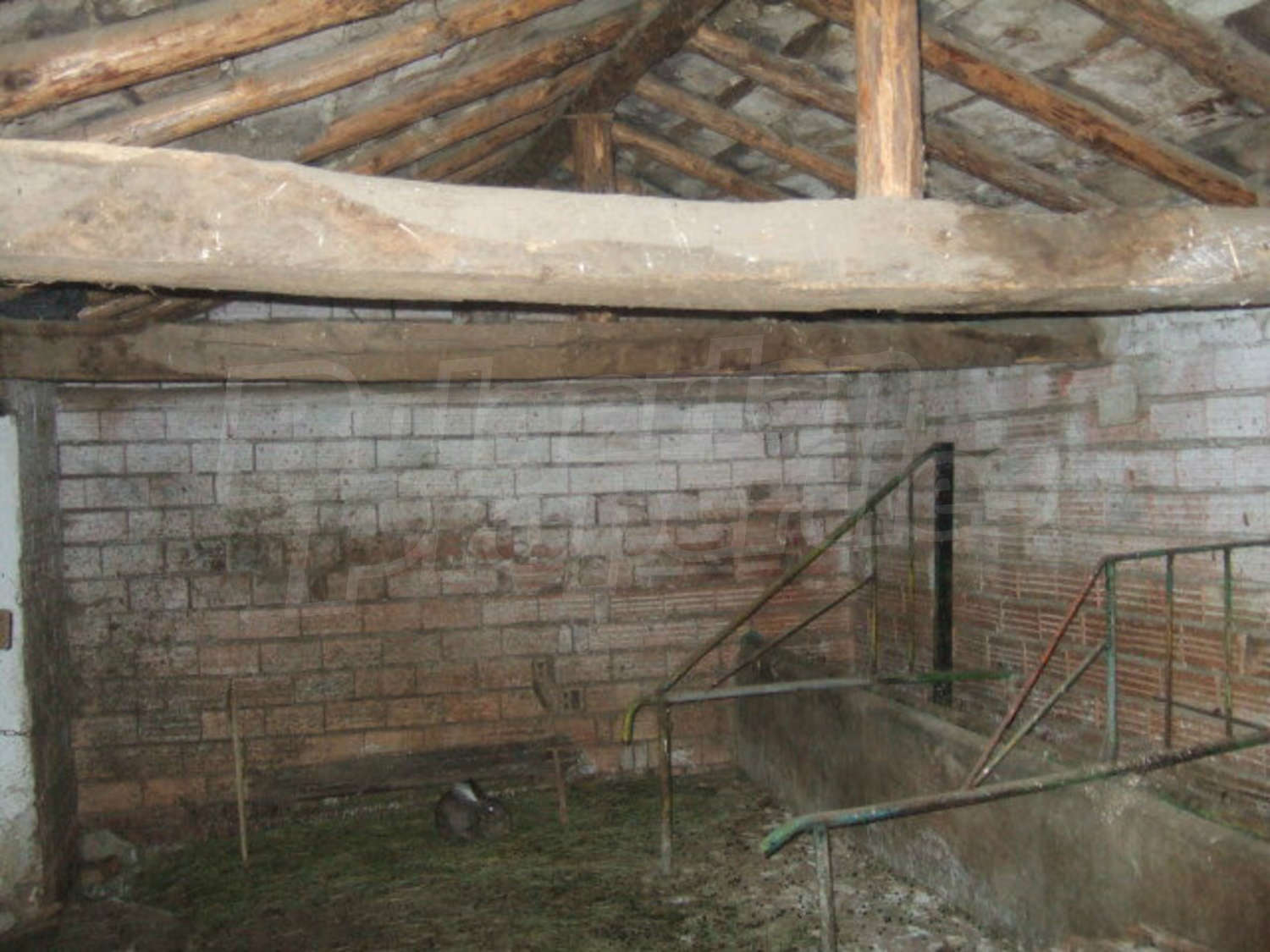 Gallery Picture 35