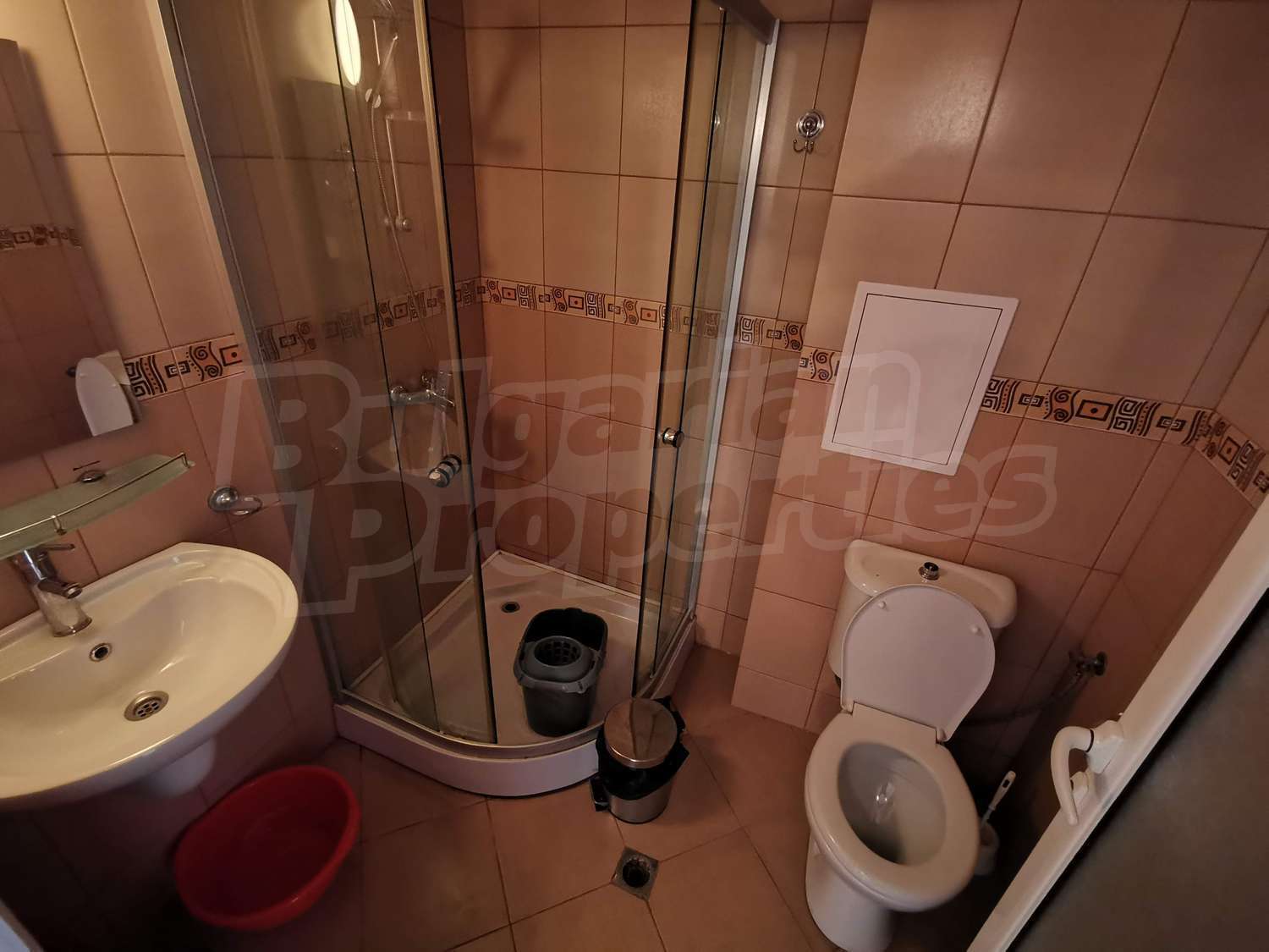 Gallery Picture 15