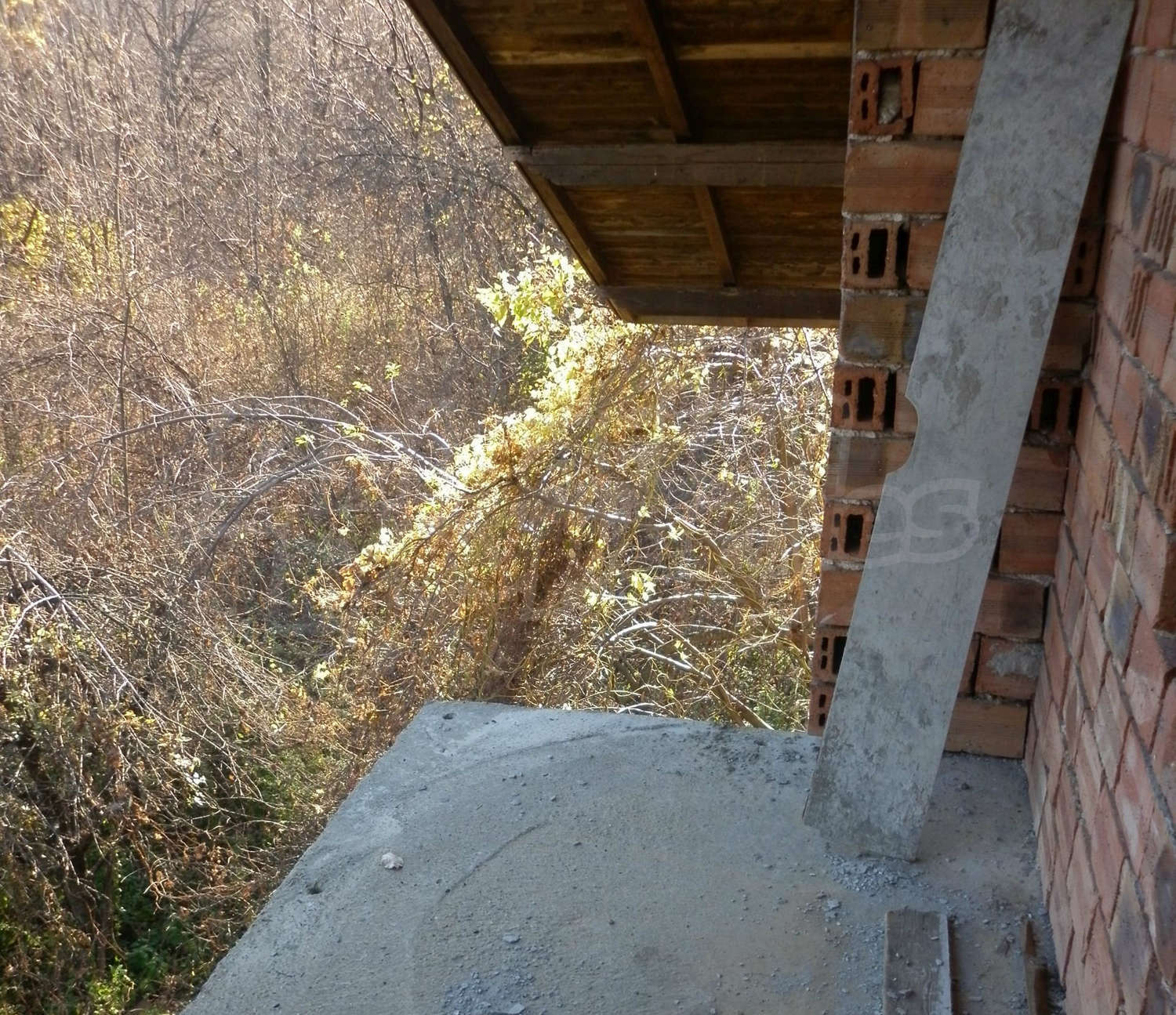 Gallery Picture 11