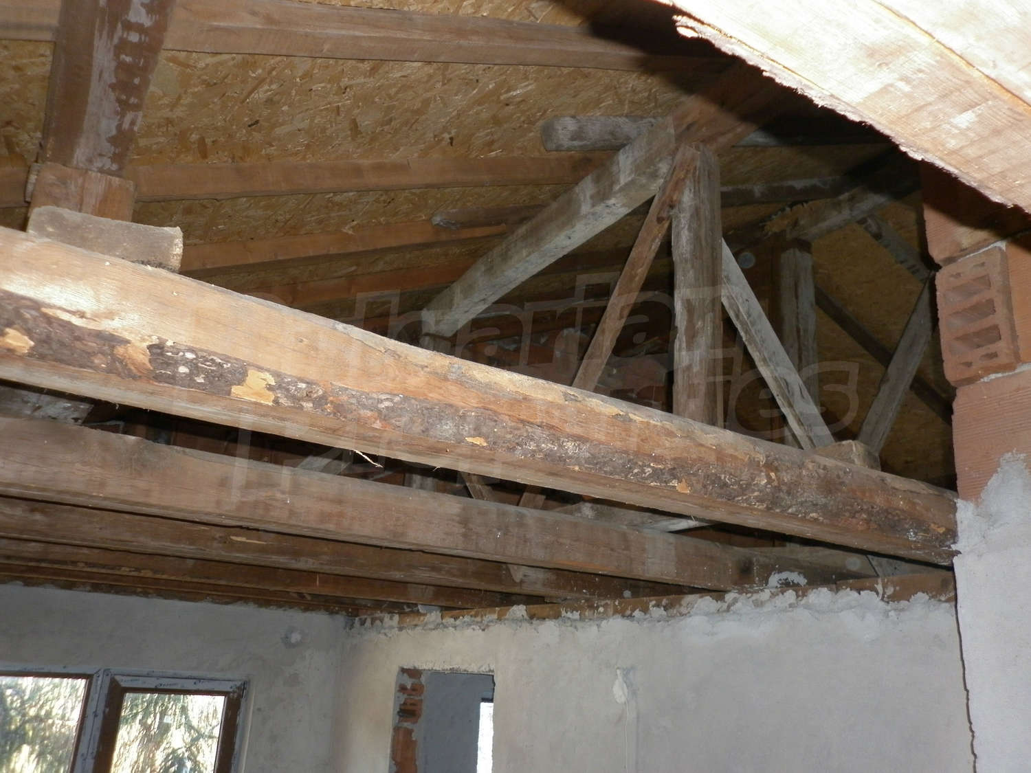 Gallery Picture 15
