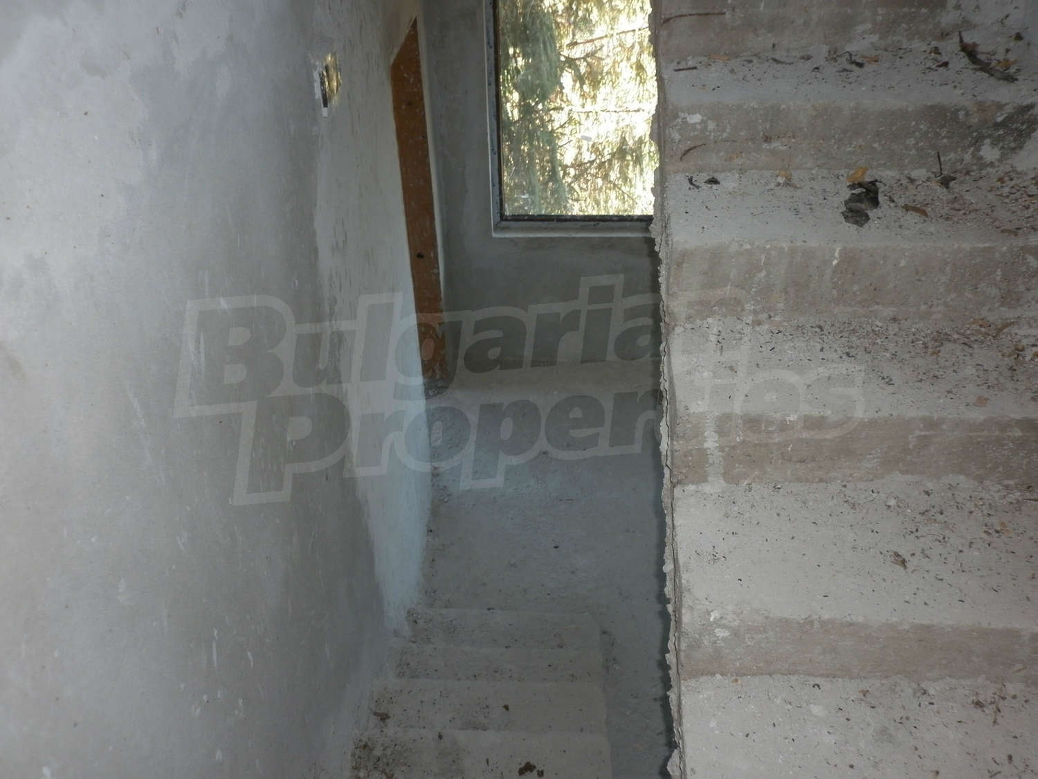 Gallery Picture 17