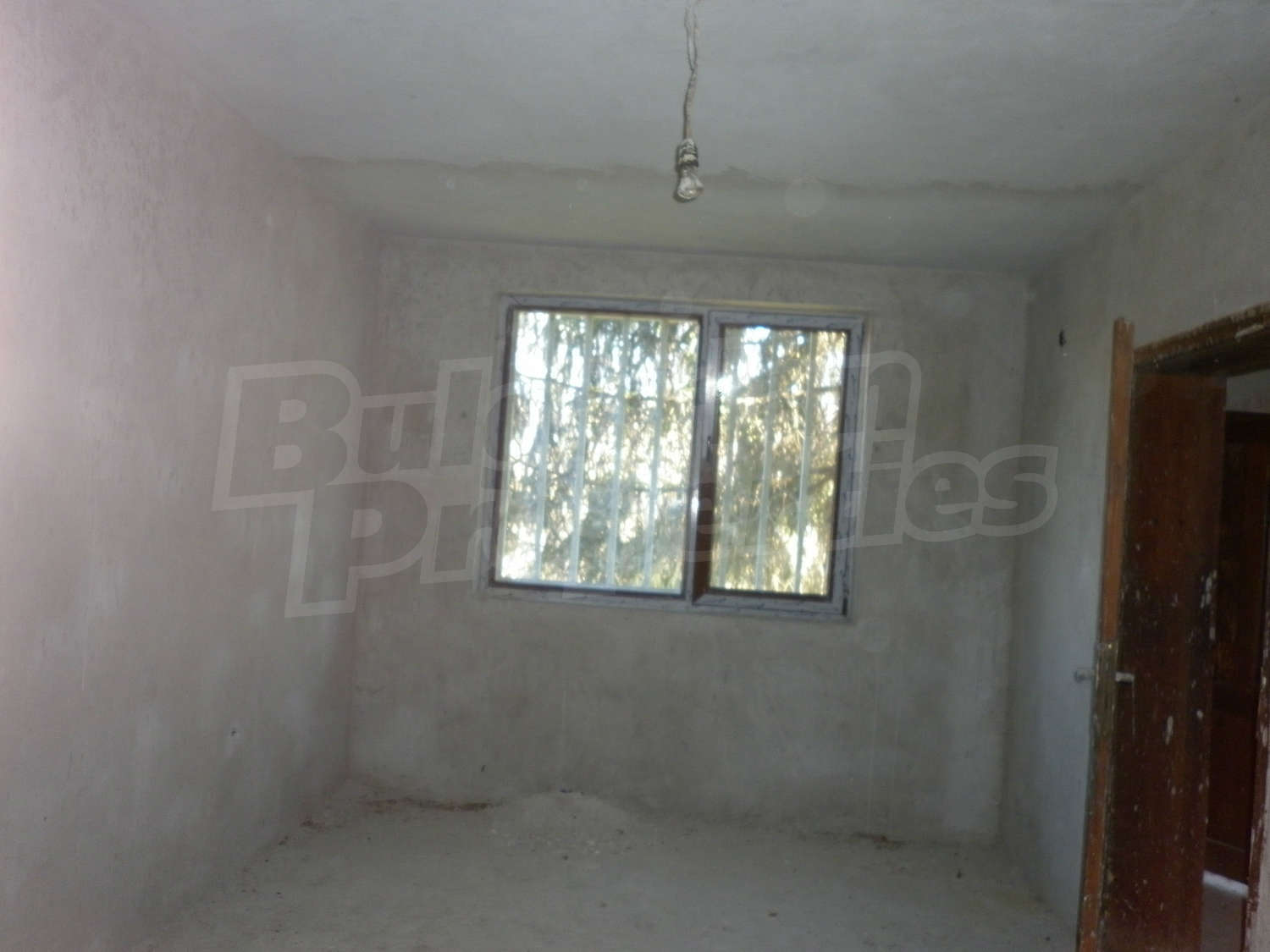 Gallery Picture 34