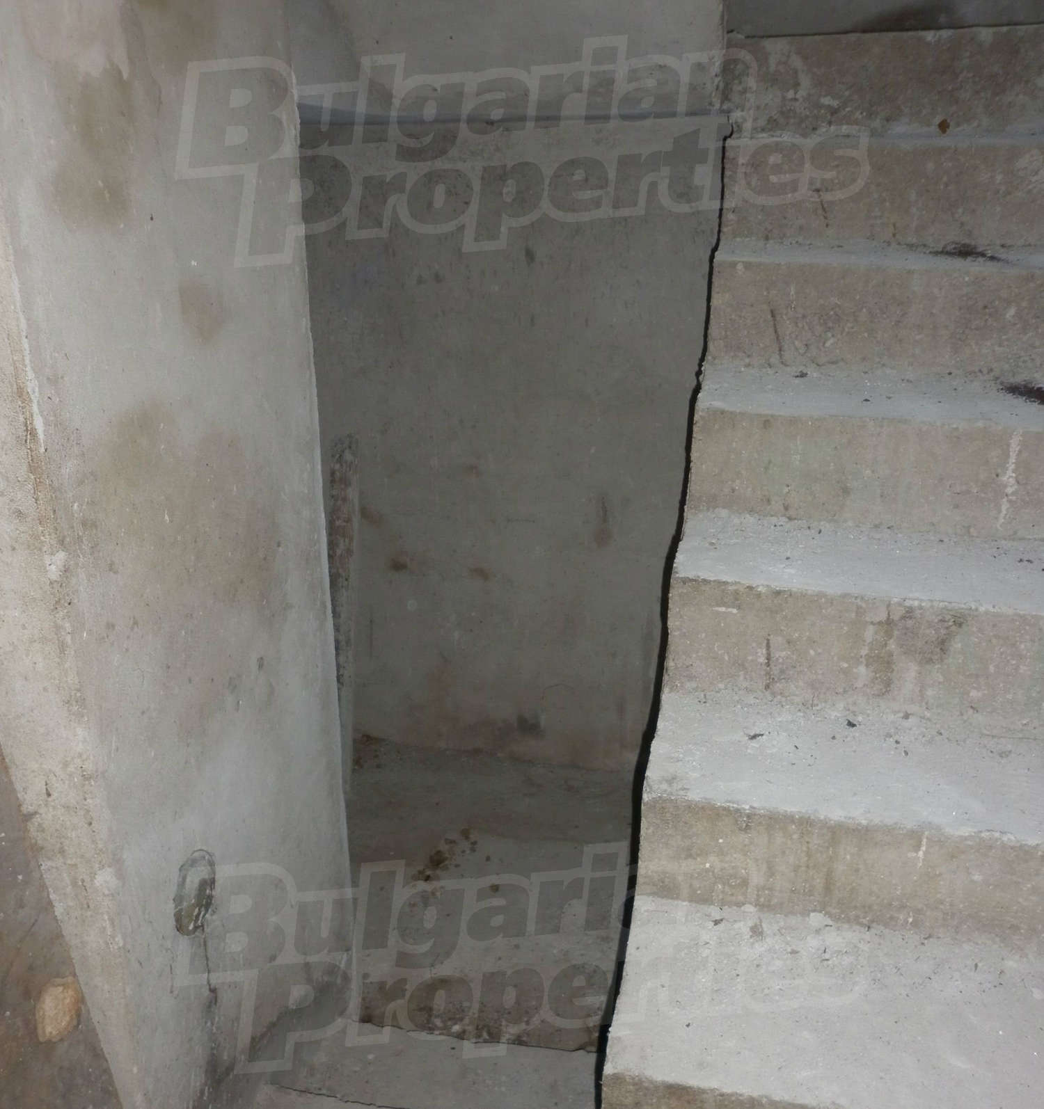 Gallery Picture 35