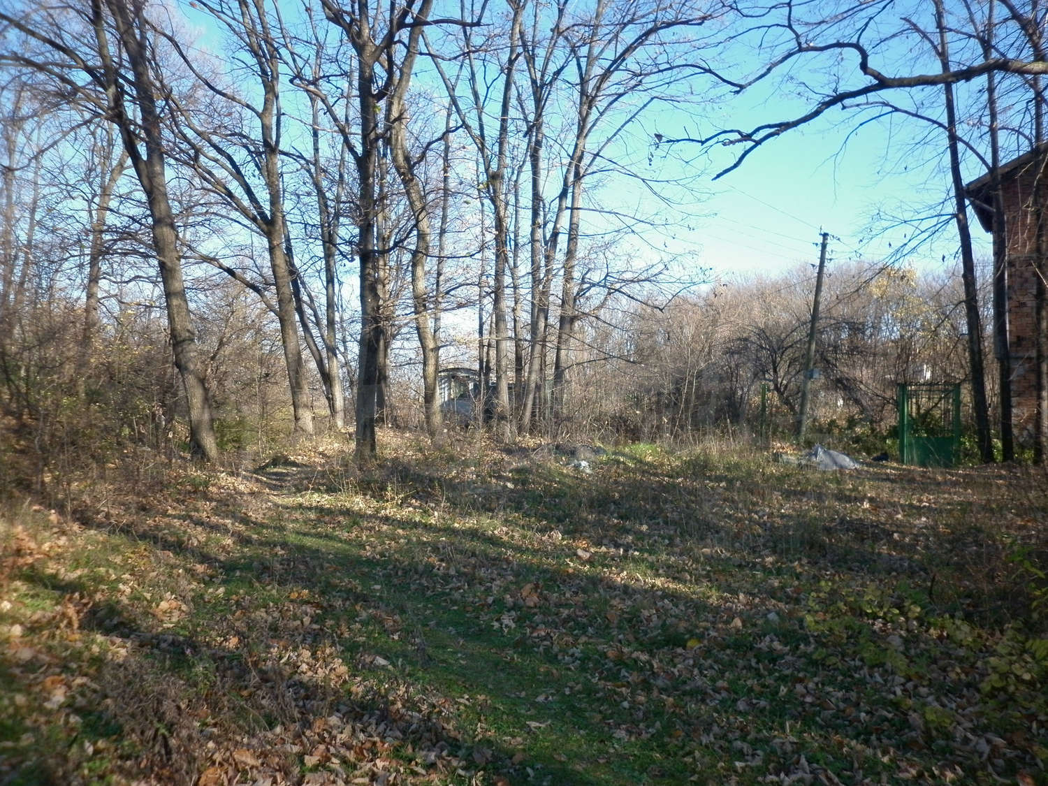 Gallery Picture 46