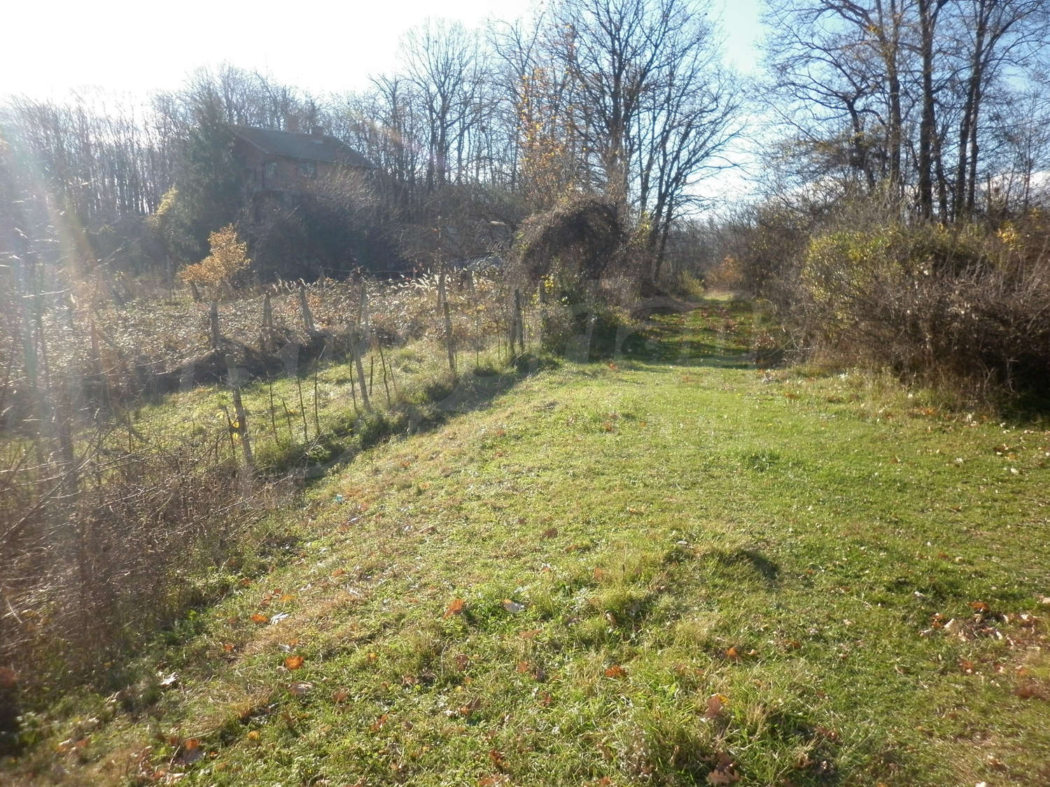 Gallery Picture 48