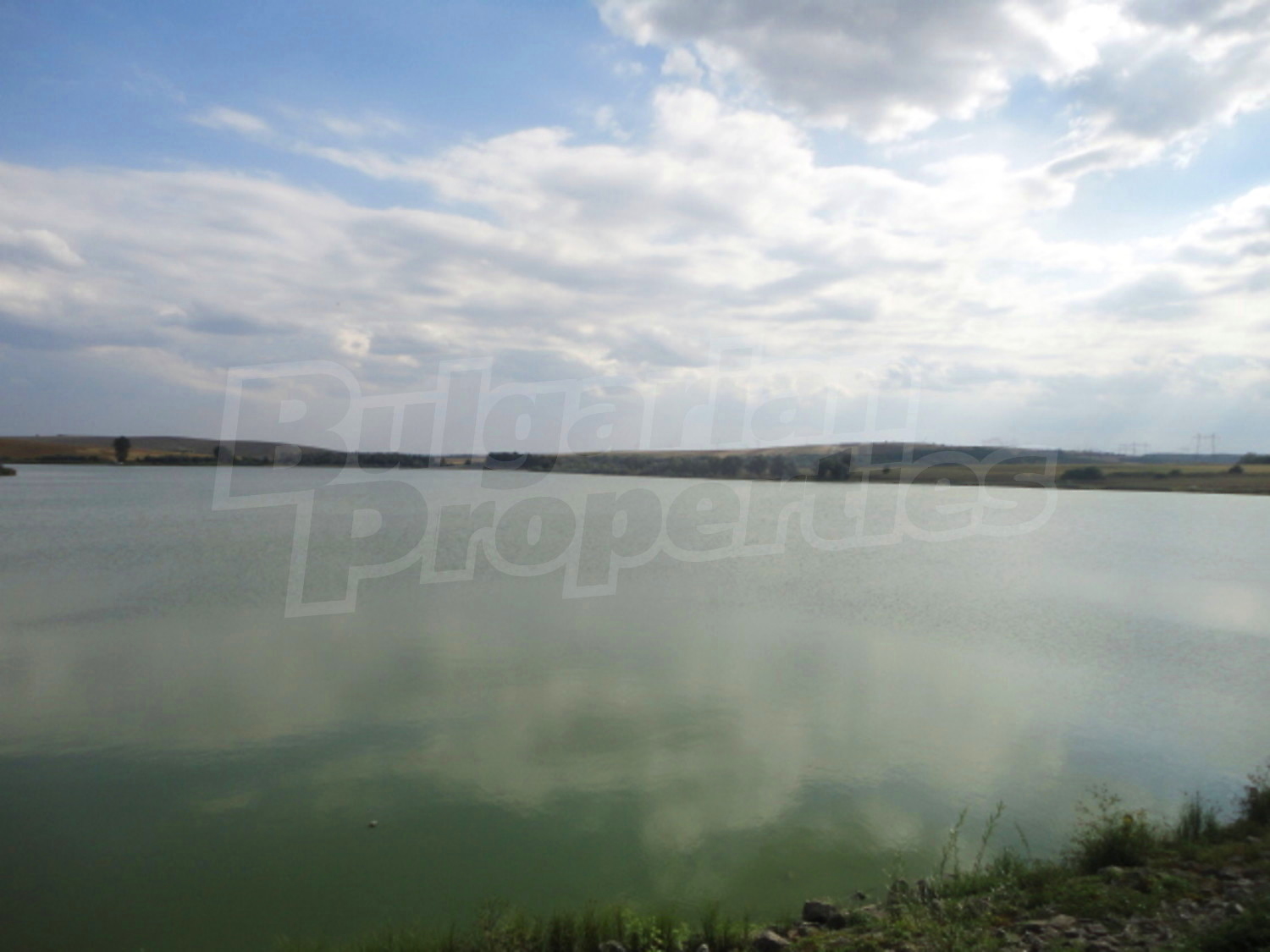Gallery Picture 17