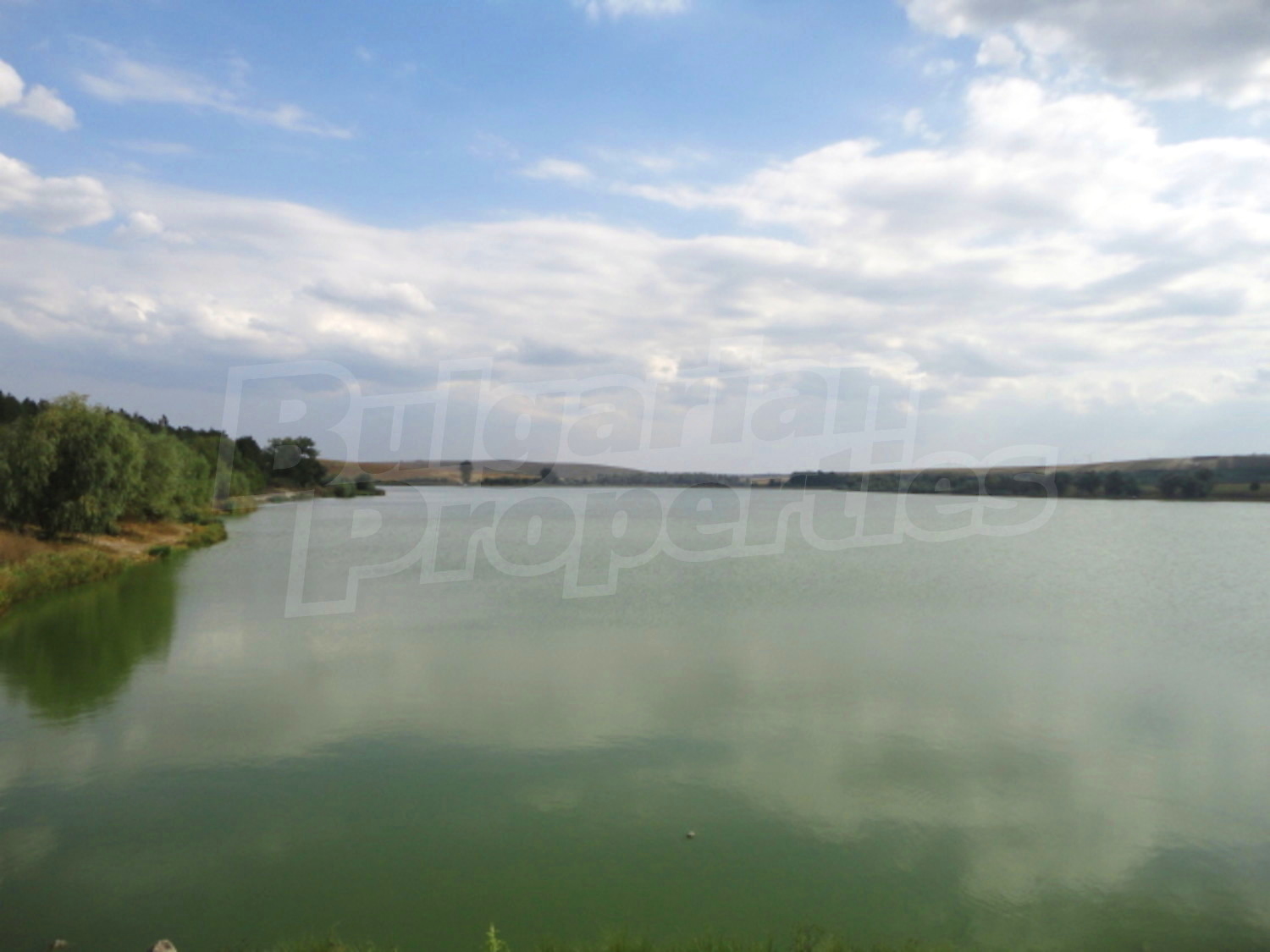 Gallery Picture 18