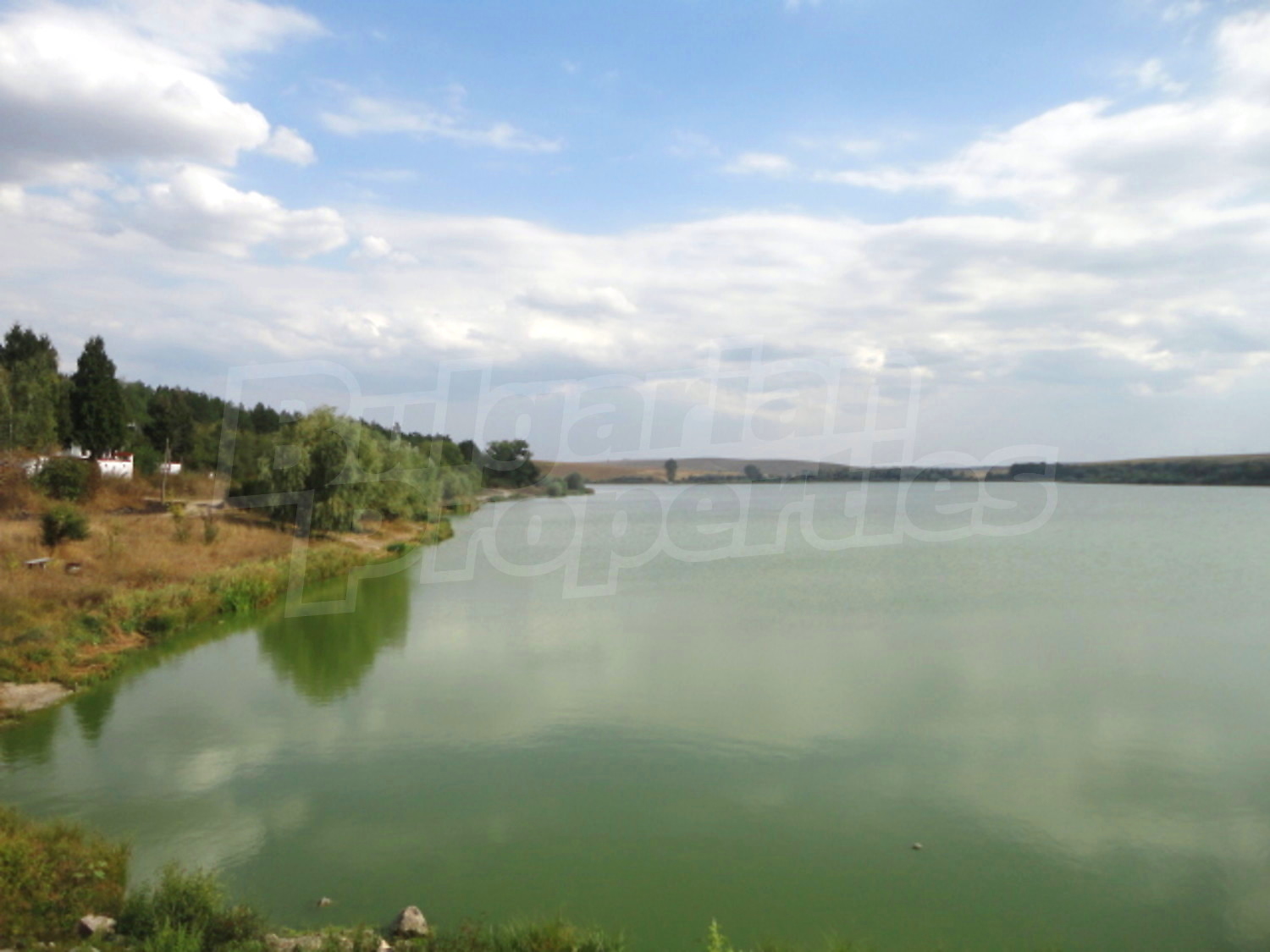 Gallery Picture 21