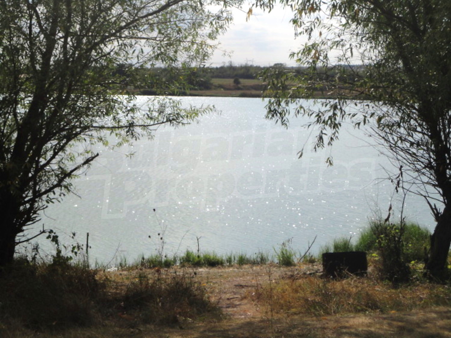 Gallery Picture 23