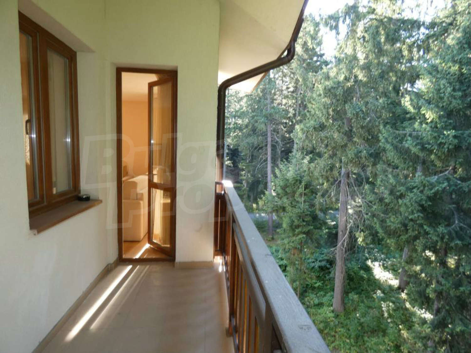 Gallery Picture 12