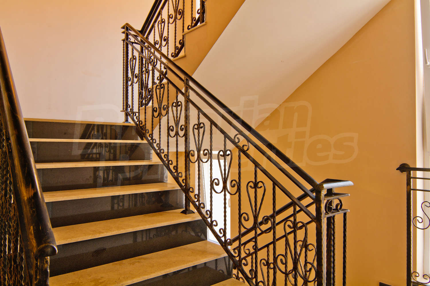 Gallery Picture 12