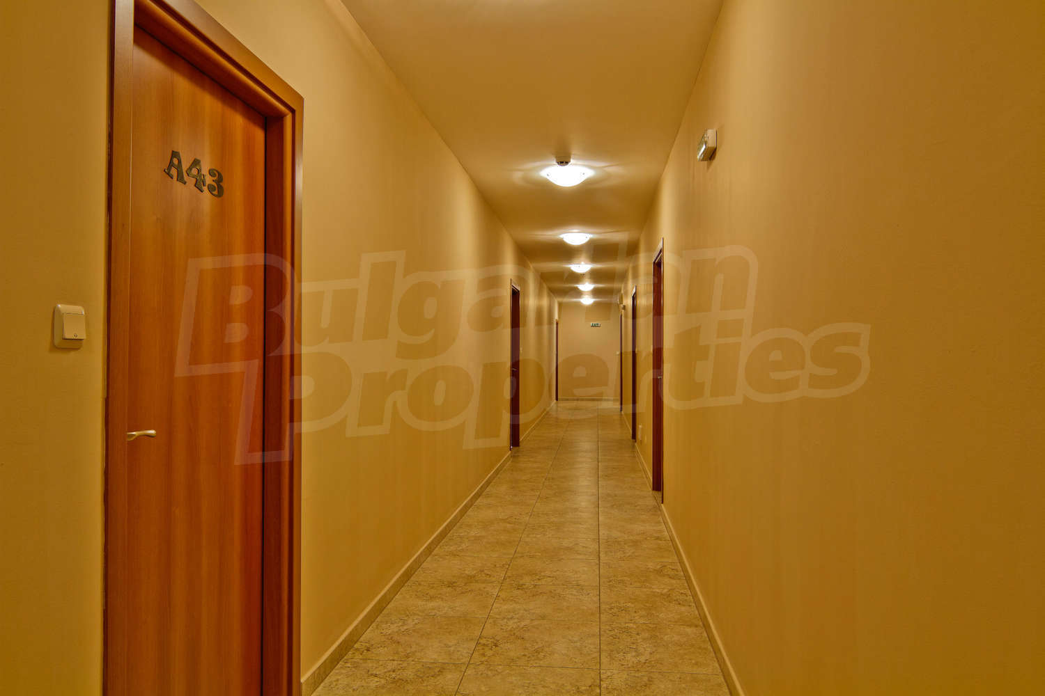 Gallery Picture 14