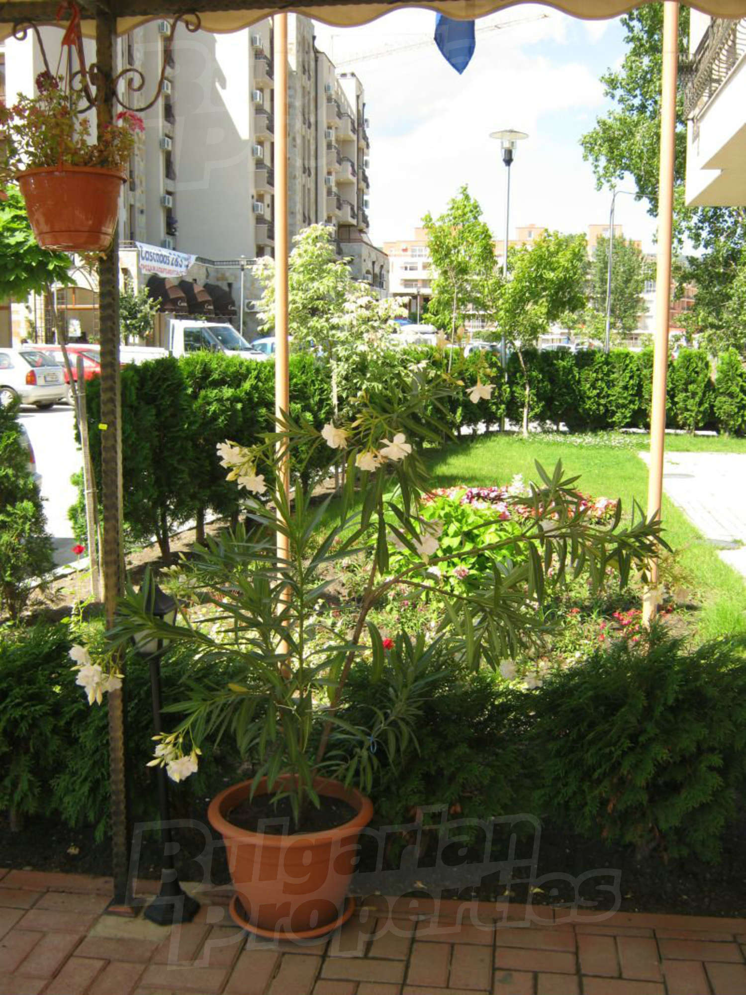 Gallery Picture 38