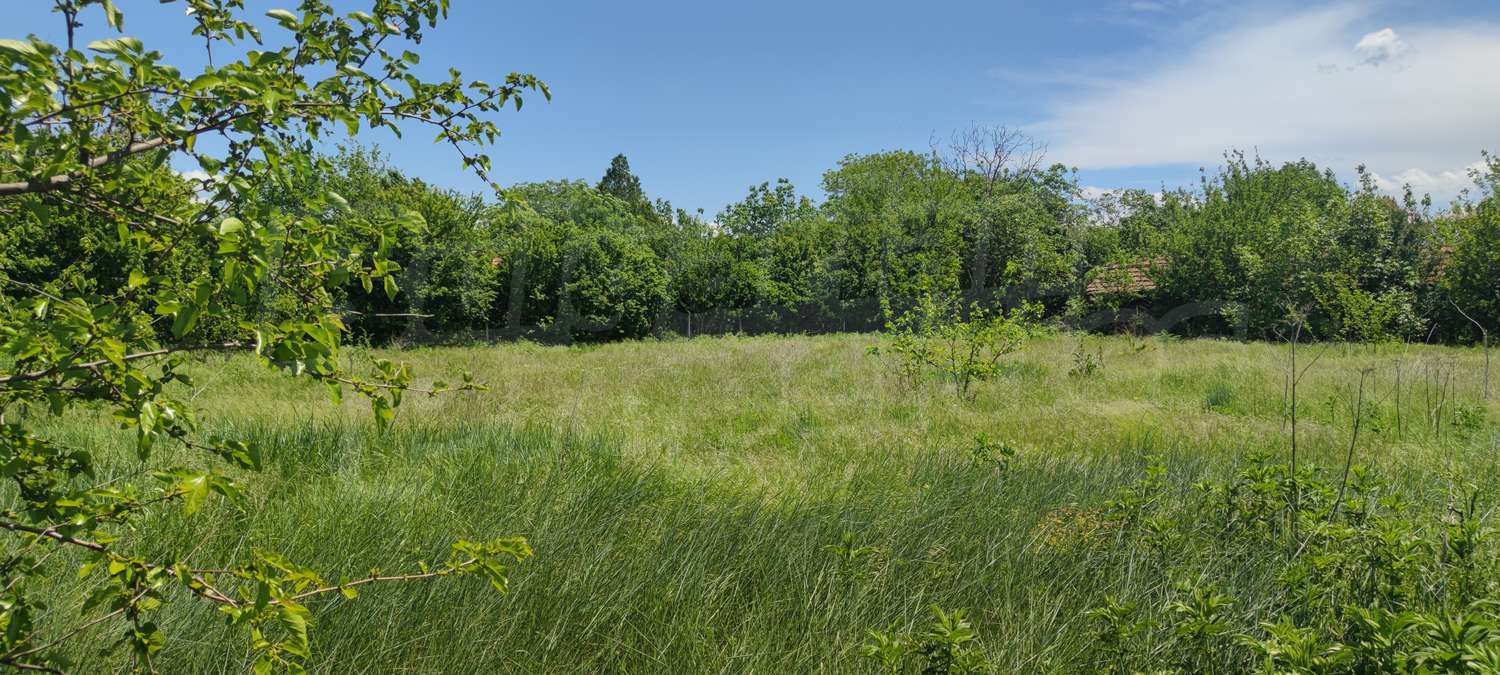 Gallery Picture 9