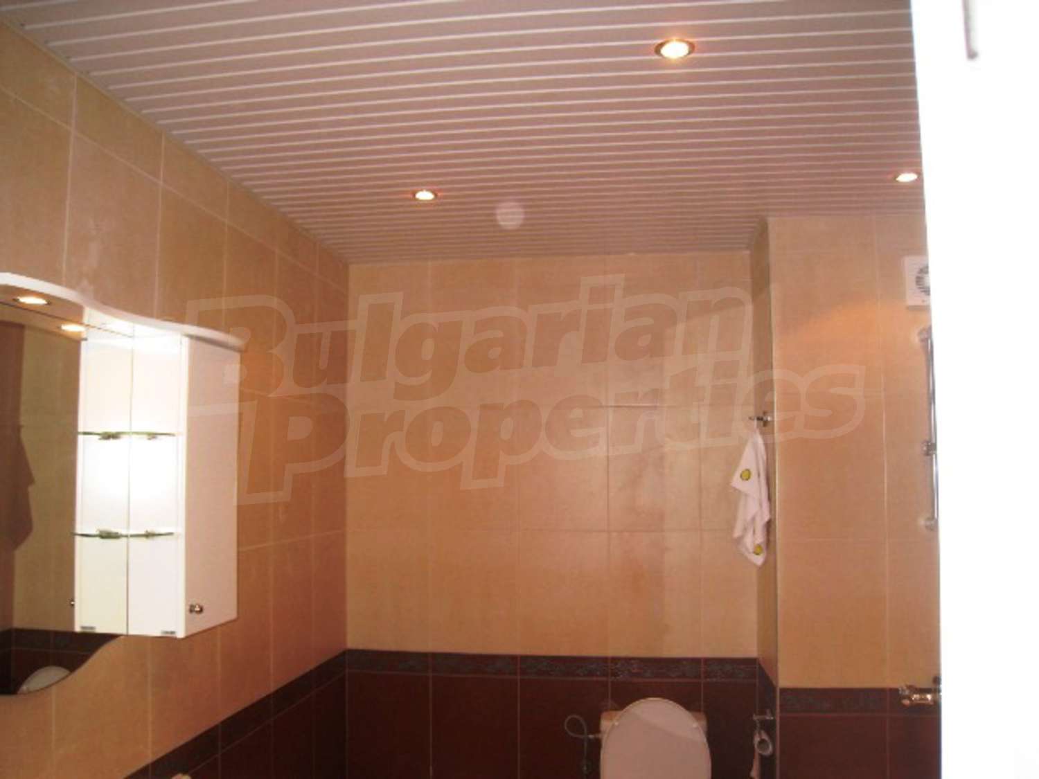 Gallery Picture 17