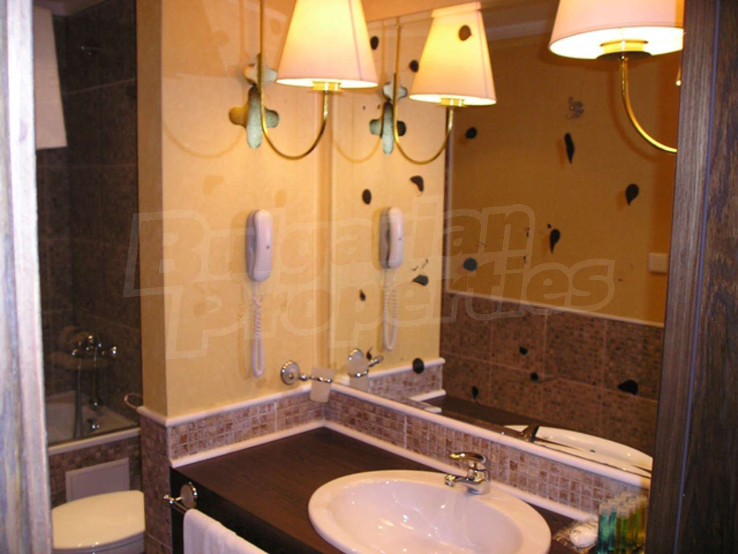 Gallery Picture 27
