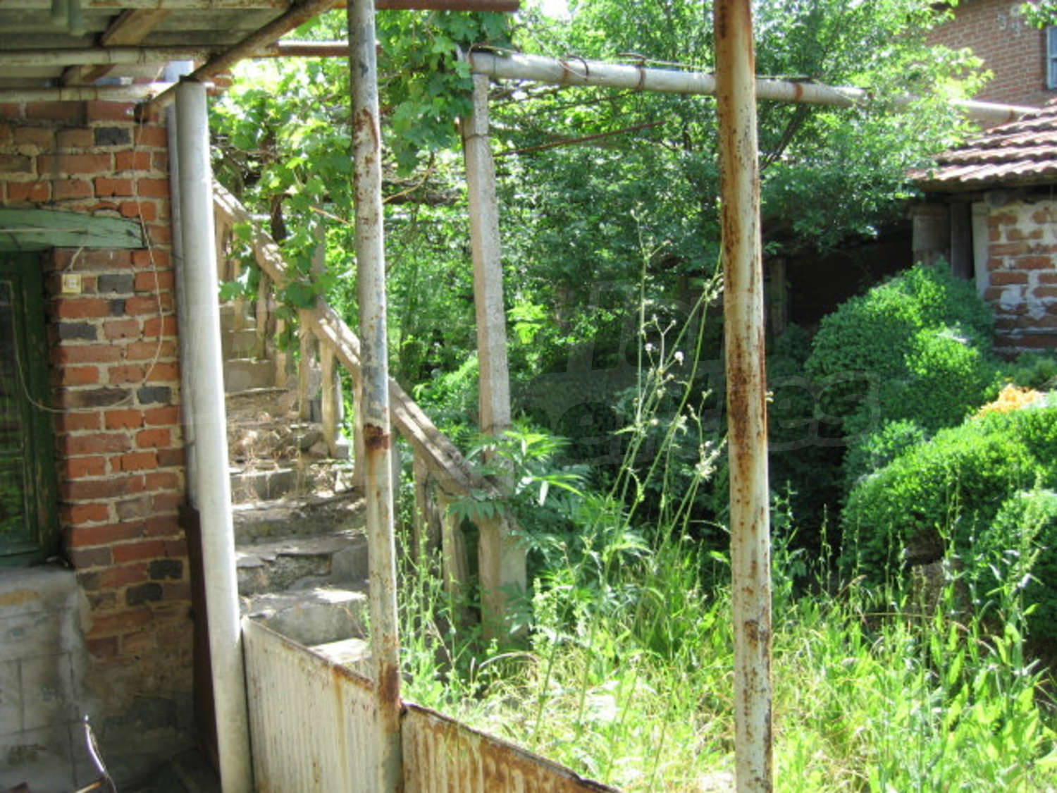 Gallery Picture 11