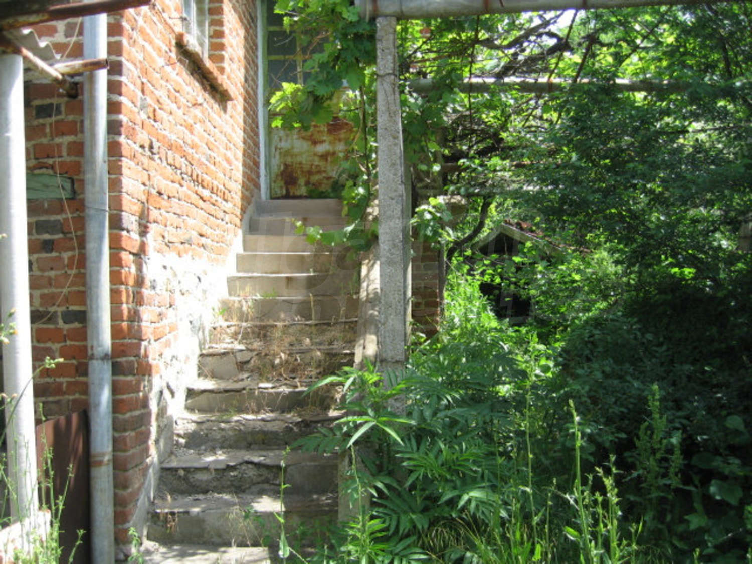 Gallery Picture 12