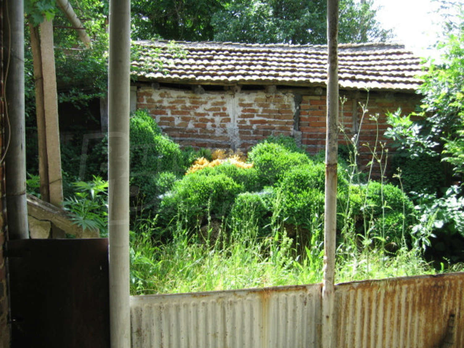 Gallery Picture 9