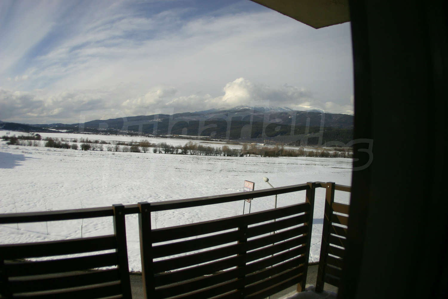 Gallery Picture 12