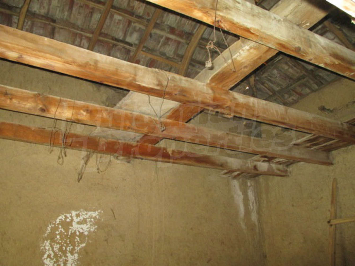 Gallery Picture 11