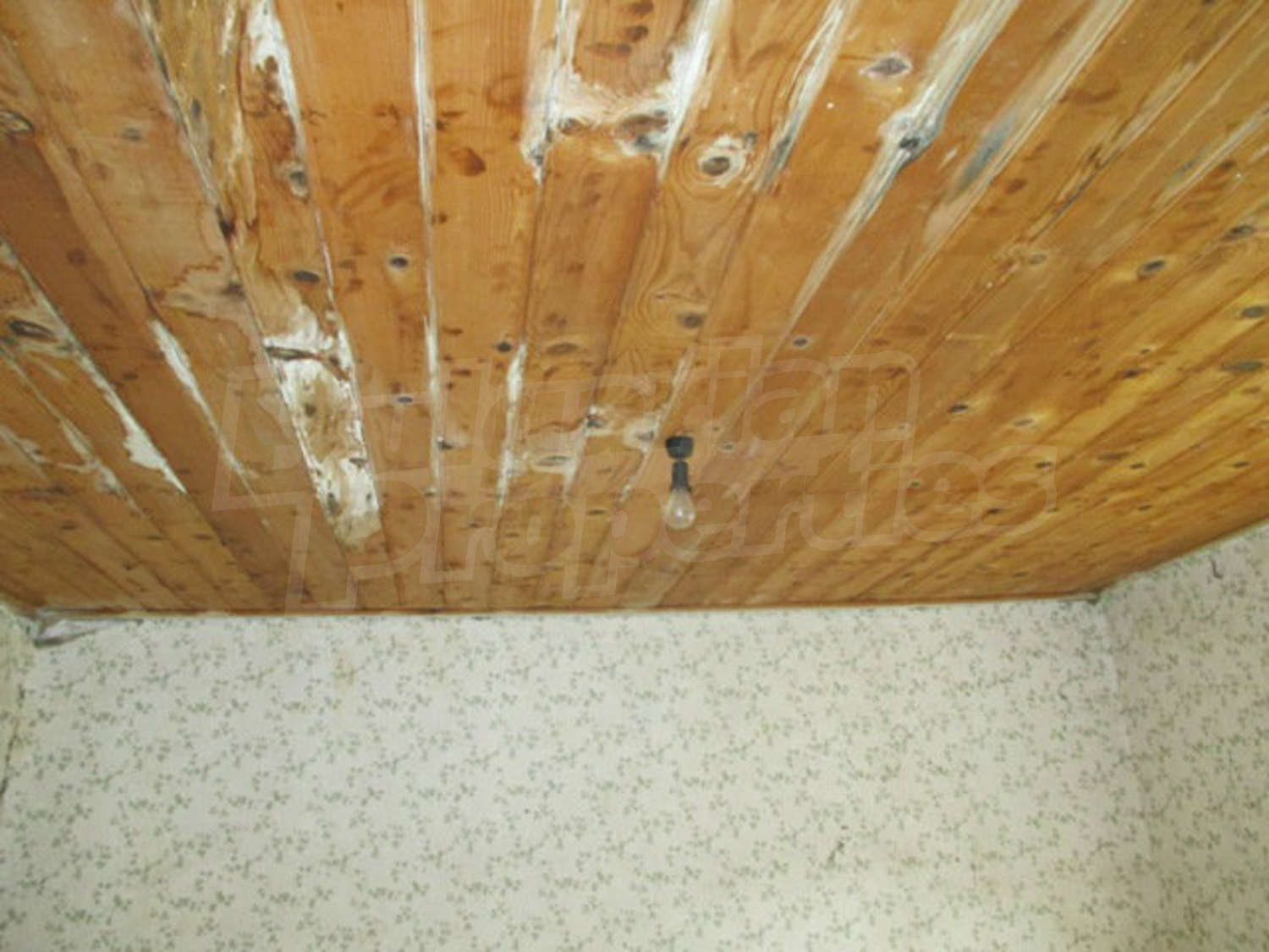 Gallery Picture 12