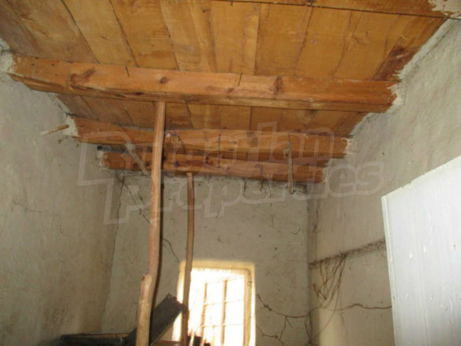 Gallery Picture 13