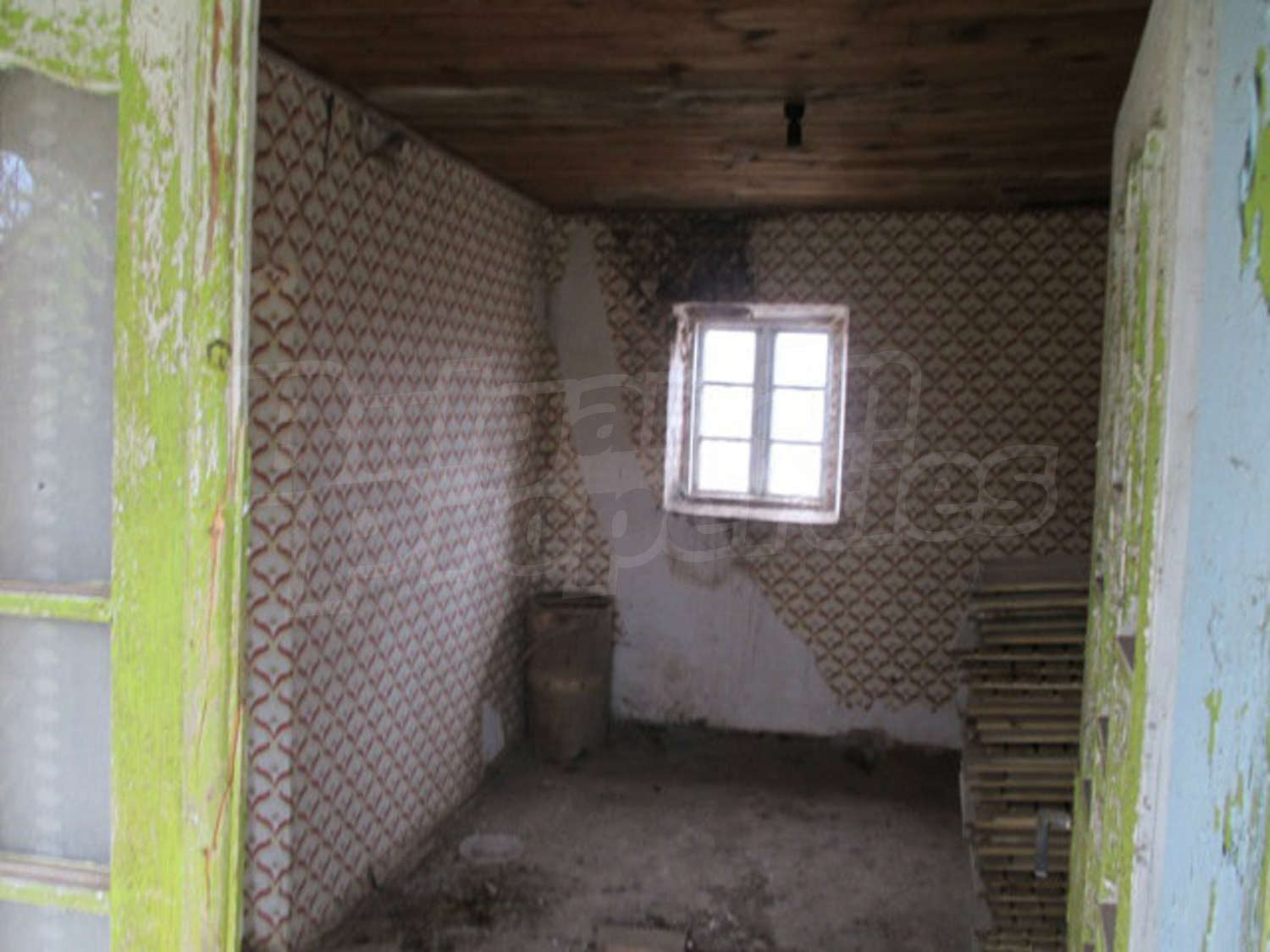 Gallery Picture 14