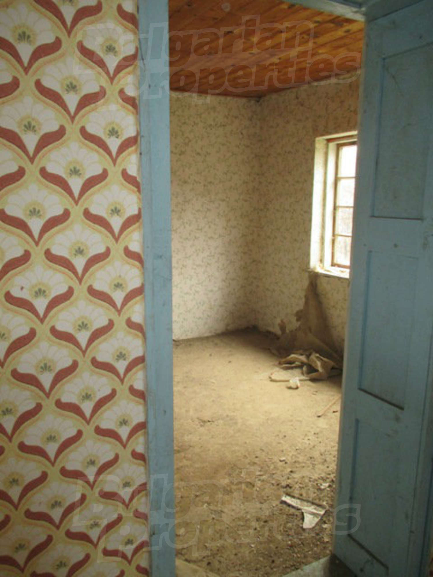 Gallery Picture 8