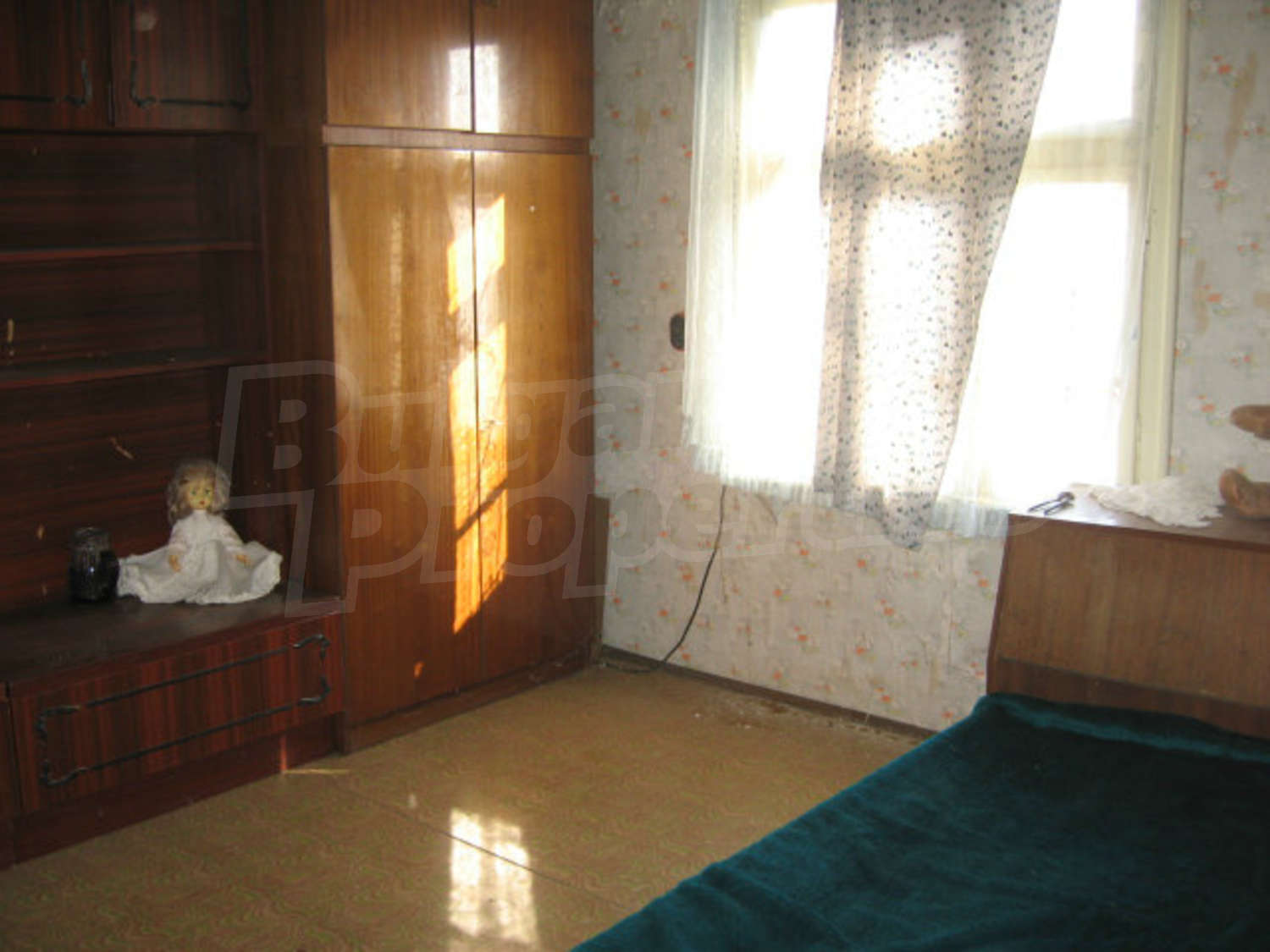 Gallery Picture 19
