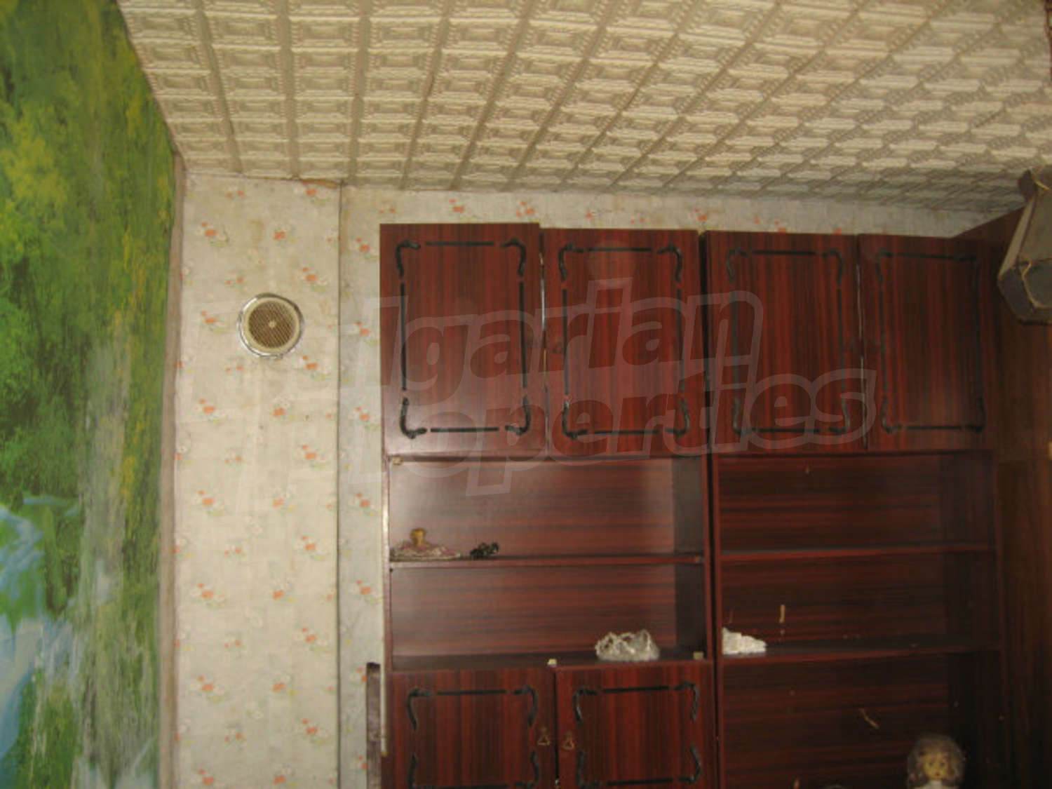Gallery Picture 20