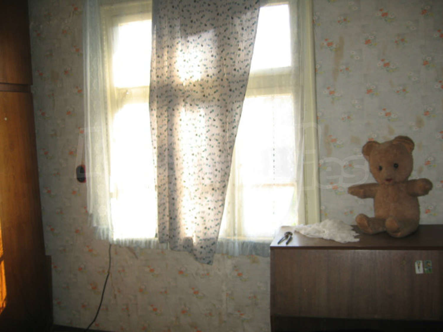 Gallery Picture 21