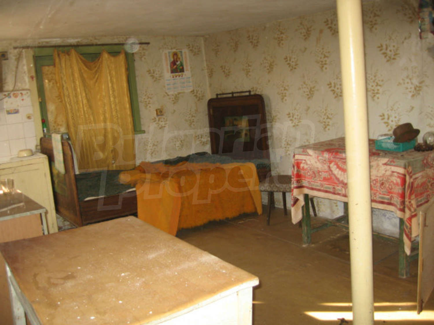 Gallery Picture 7