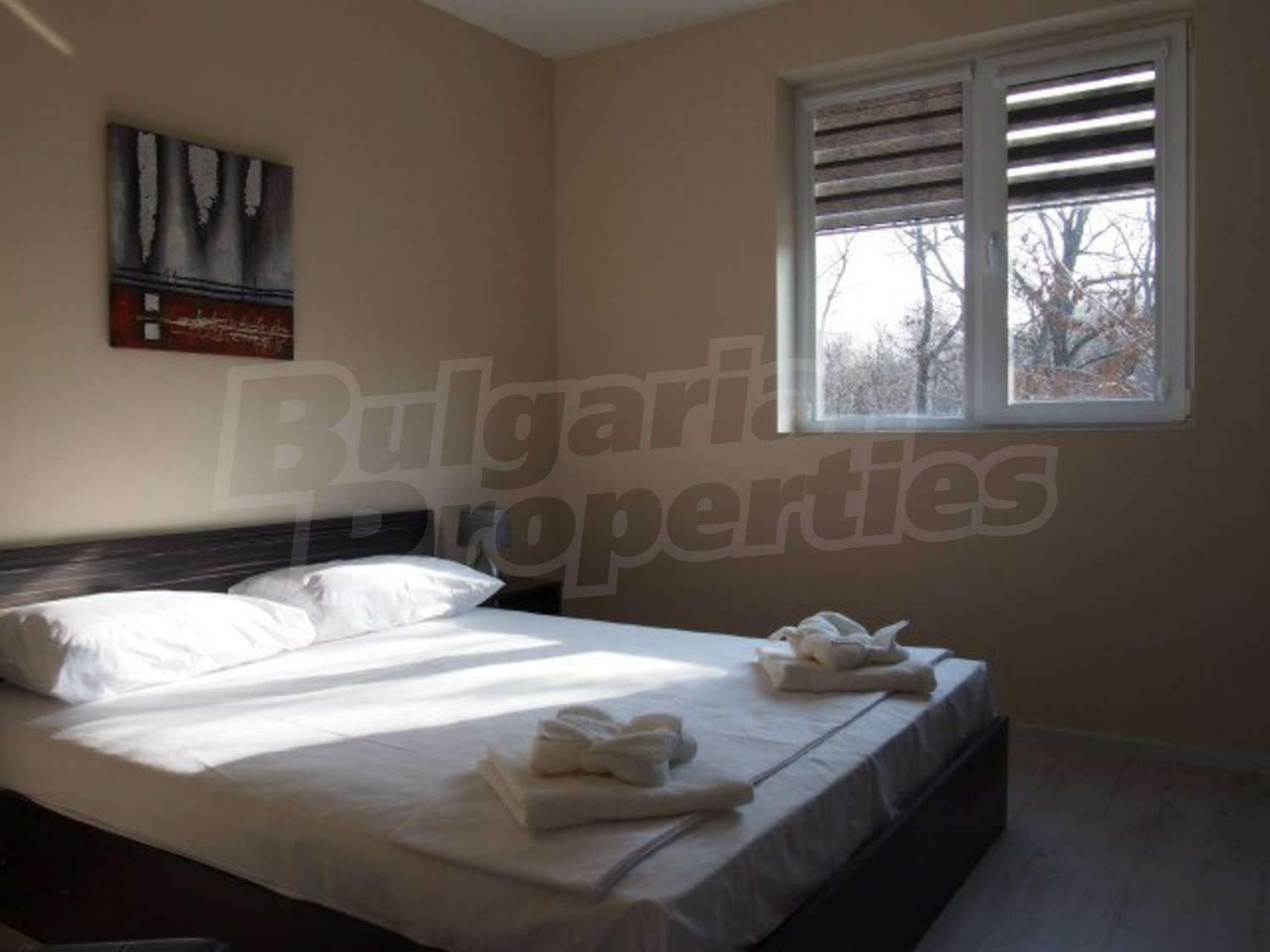 Gallery Picture 10