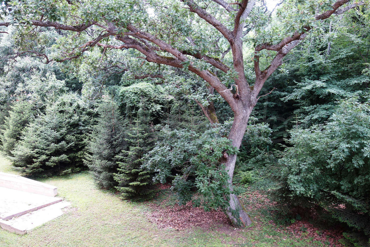 Gallery Picture 17