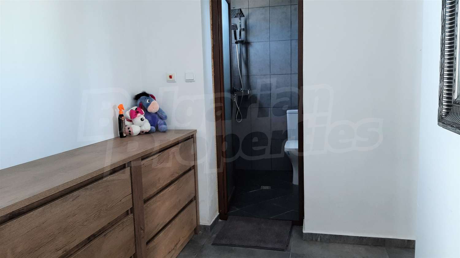 Gallery Picture 12