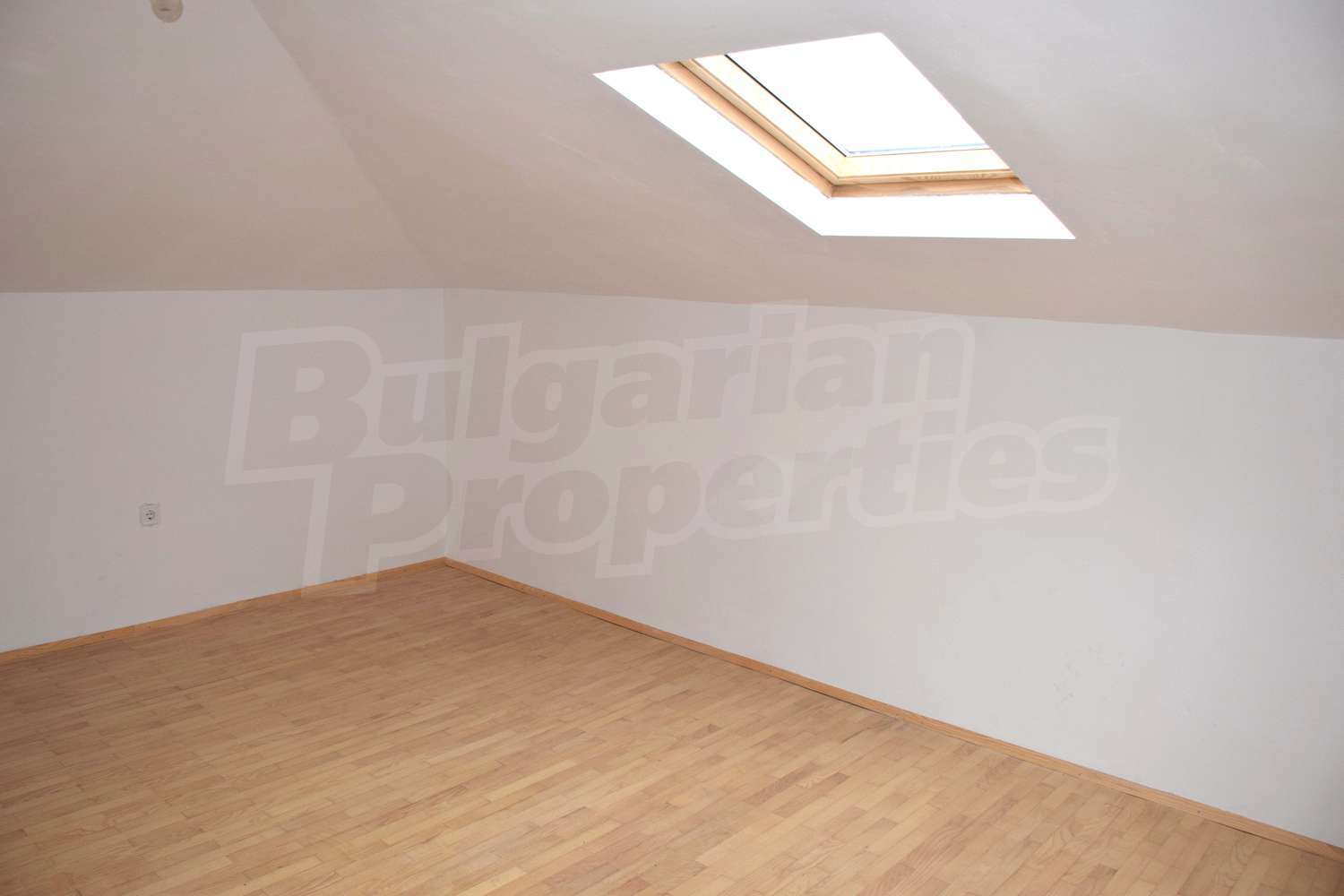 Gallery Picture 23